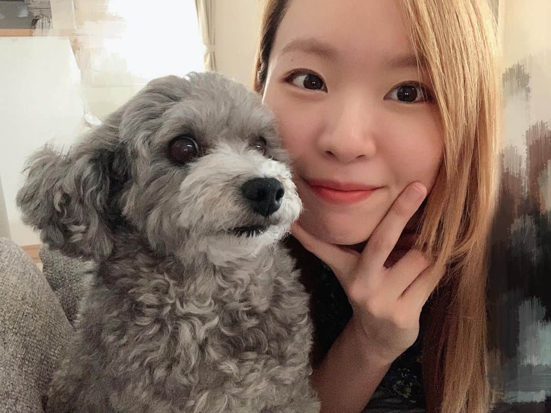 伊藤菜々子のインスタグラム：「たまには...と  我が家の🐶めいちゃんと📷 1枚目...成功(でも真顔😐) 2枚目...嫌がってるwww ごめんね🤣🤣  ブログ↓ https://ameblo.jp/sevenana0215/entry-12819502796.html」