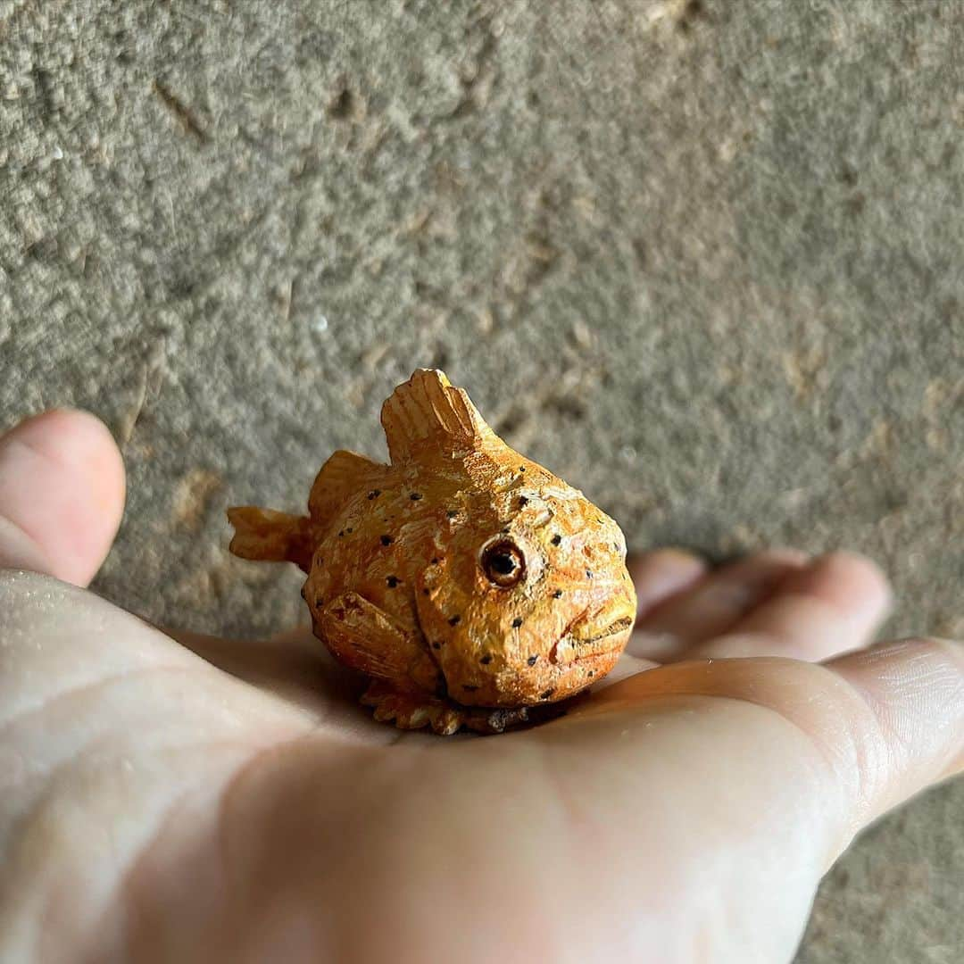 はしもとみおのインスタグラム：「新江ノ島水族館　vol2 カプセルトイ、発売となりました。  フウセンウオさんや、ゴンドウのビーナ。クラゲ、カワウソ、エイ、５つの生命と向き合って作った彫刻達。カプセルトイという小さな宇宙でここまで再現してくれた事に開発に関わっていただいたすべての方に感謝です。  ビーナは間近で観察させていただき、ほかの子達もスケッチを重ね、丁寧に取材し制作しました。 キタンクラブさんと作り続けているこのシリーズ、本当に意味のある仕事をしている使命感もあって、みなさんに触れてもらいたいです。動物たちの個体まで再現したカプセルトイって、他には無いと思います。 新江ノ島水族館で、また水族館オンラインショップでも販売してくれてますので、ぜひお手に取ってみてくださいね。  #カプセルトイ#はしもとみお#キタンクラブ #ガチャガチャ#figure #sculpture #miohashimoto#新江ノ島水族館」