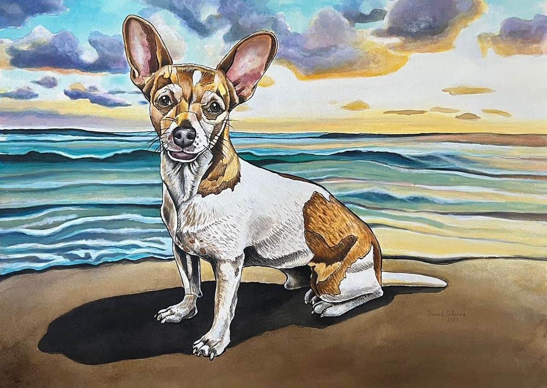 デヴィッド・ギルモアのインスタグラム：「This is the especially adorable Lokki. He likes long walks on the beach and having his portrait painted. ❤️ 🏖️ 🐚 ☀️ 🕶️  And he loves his wonderful parents @dkarsting and Mikko. Thanks you two for commissioning this 21” x 15” ink and watercolor on hot pressed watercolor paper.  #petportrait #chihuahua #chihuahuasofinstagram #ink #watercolorpainting #beach #dogbeach」