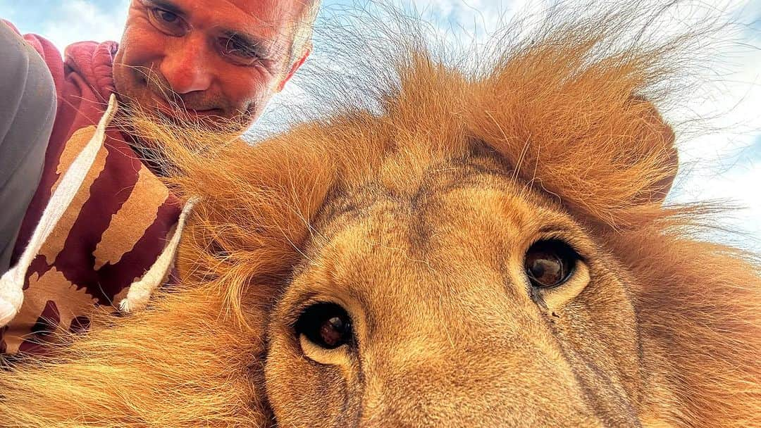 Kevin Richardson LionWhisperer のインスタグラム