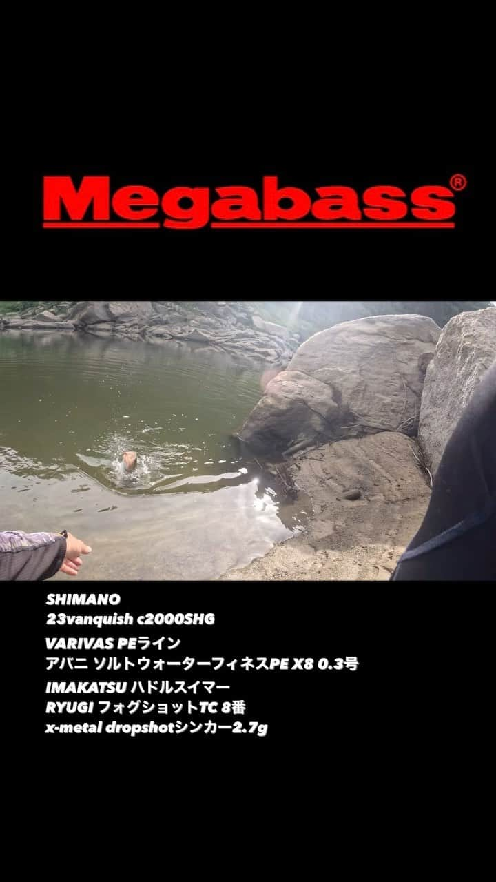 HASSYのインスタグラム：「Megabass  KIRISAME F1-66XS SHIMANO 23vanquish c2000SHG VARIVAS PEライン アバニ ソルトウォーターフィネスPE X8 0.3号 IMAKATSU ハドルスイマー RYUGI フォグショットTC 8番 x-metal dropshotシンカー2.7g EEYANKA🔥  #Megabass #メガバス #RYUGI #x_metal #bigfish1983 #bigfish #glitchoil #fishing #bassfishing #釣り #バス釣り #バスフィッシング #lurefishing #outdoor #魚釣り #自然遊び #淀川番長 #ええやんかぁ #ええやんかぁの輪 #アウトドア #外遊び」