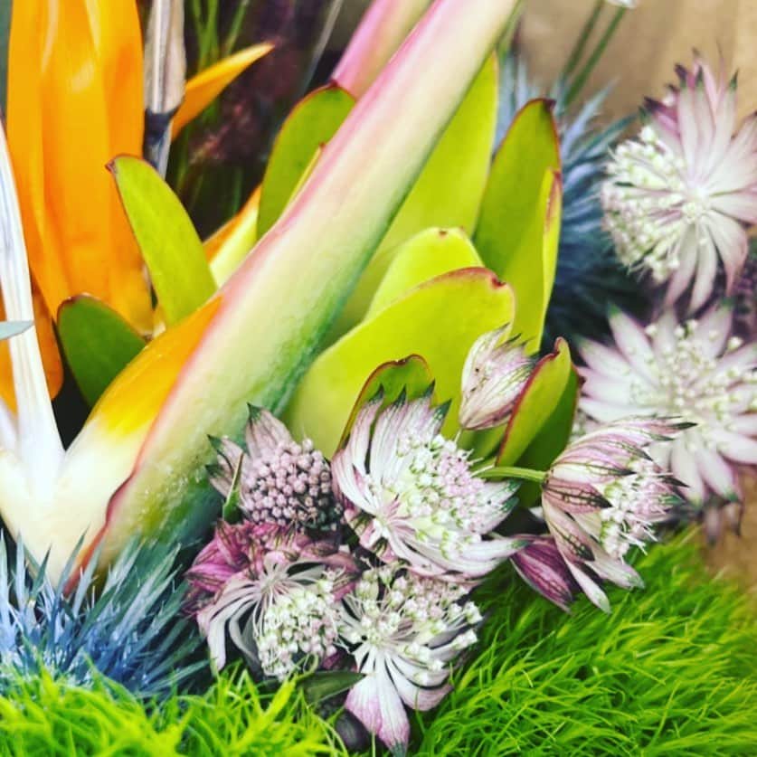 風間ゆみえのインスタグラム：「監督のおつかいー。  私もこの花束欲しい、😆  アストランティア好き。  そうだ、今週末のセミナーのときに飾ろうかな☺️✨　  なおちゃん、 @naoten10 ご連絡お待ちしてます。」