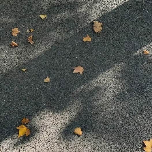さやべびのインスタグラム