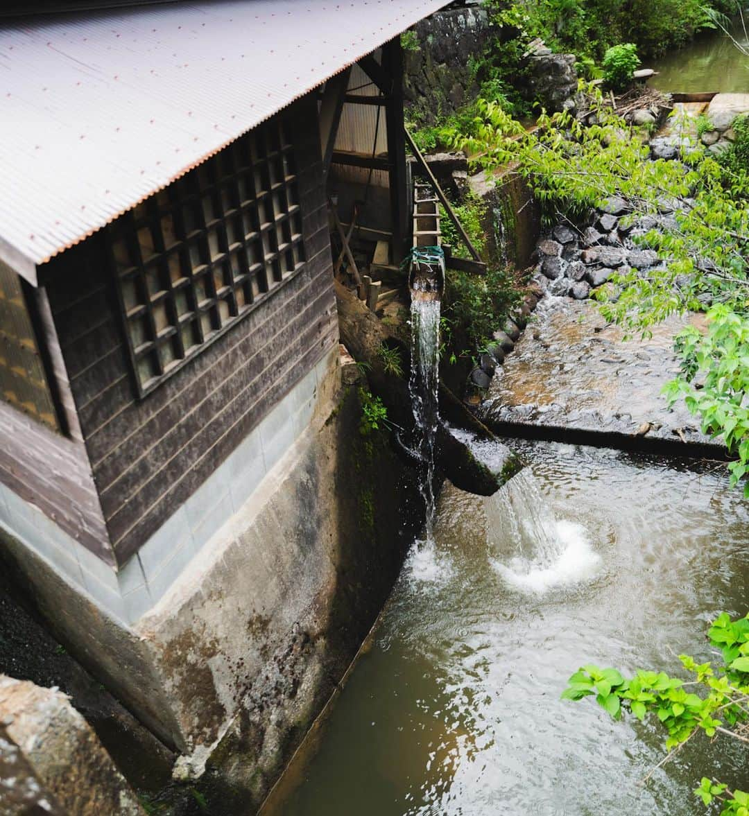 大瀧彩乃さんのインスタグラム写真 - (大瀧彩乃Instagram)「・ nature trip🚩  水源に行って冷たーい天然水を飲んだり、滝の裏側はいってみたり。  気になっていた小鹿田焼の里にもお邪魔しました。 こちらはスーパーやコンビニも近くになく、小さなトラックで売りに来るおばちゃんの所へ里の人々が集まってきていました。 携帯の電波も入らない。 凄い場所があるんだなと、 便利な時代に今もこのような土地があることが素晴らしく感じました。  旅中に着ているワンピースとパンツは一目惚れした @tado____  この夏のお気に入り◎  #takiicotrip#naturetrip #leicaq2 #leicam11」9月7日 23時49分 - _ayanootaki_