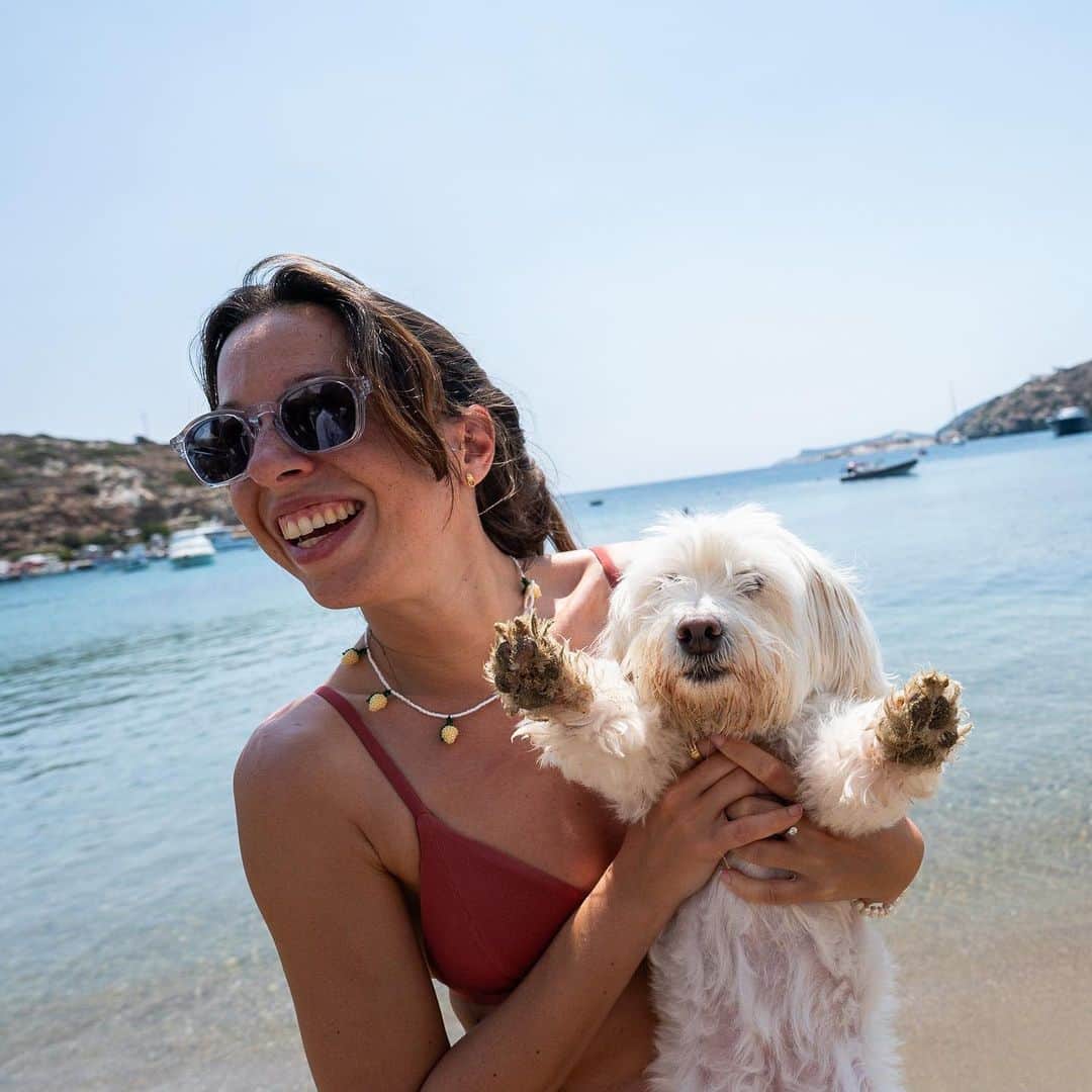 The Dogistさんのインスタグラム写真 - (The DogistInstagram)「May, mix (6 y/o), Paralia Faros, Sifnos, Greece • “She’s a rescue from Athens. I haven’t been able to get her attention like this in the six years I’ve had her. She’s not very open to people – not cuddly with them. She was abused but is very attached to us.”」9月8日 0時14分 - thedogist