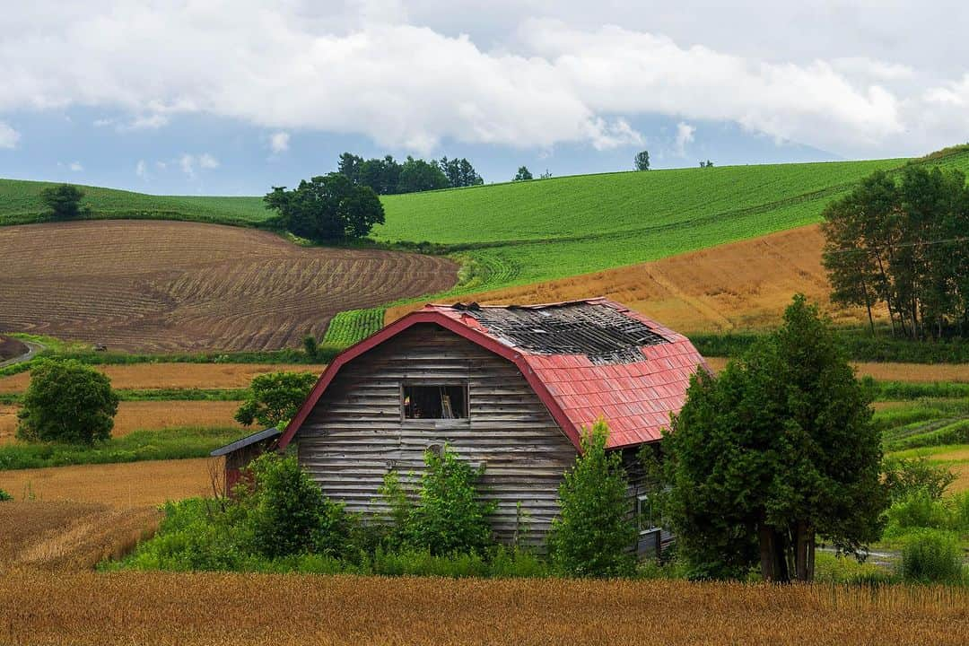 Michael Yamashitaのインスタグラム：「Abandoned buildings are referred to as “haikyo” in Japanese, literally “ruins”. Haikyo house are particularly common in Hokkaido as Japan’s  population shrinks and farms are abandoned in favor of easier city living. I include one from a recent trip to Norway as the trend continues in rural areas around  the world.  #haikyo #haikyojapan #ruins #hokkaidojapan #abandenedplaces #abandonedbuilding」