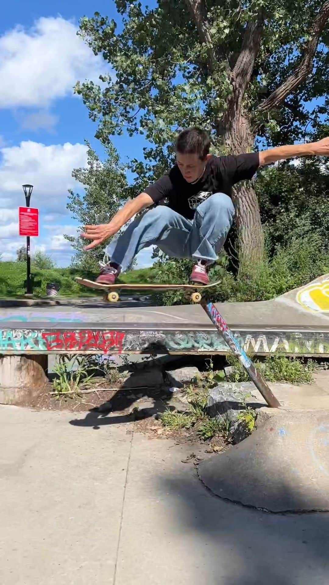 アレクシス・サブロン のインスタグラム：「rare pole jam in Montreal🐘🐅 @ryanree @converse_cons」