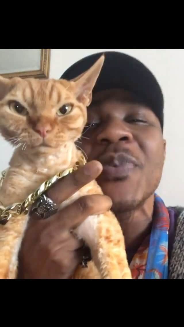 のインスタグラム：「L.O.V.E Shoutout to all my cat people, I tell y’all everyday. “YOU’RE LOVED” rather yall hear us or not.. it is what it is. Rip 2pac ❤️ shoutout to DJ Ravioli, you are ALWAYS with me #TheCatRapper #DJRavioli #CatMan #CatMom #CatLady #MoGang」
