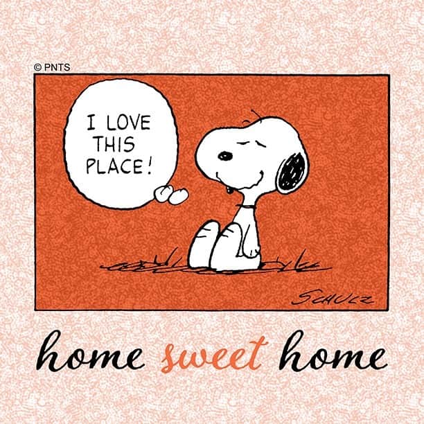 スヌーピーのインスタグラム：「#TFW you're finally home」