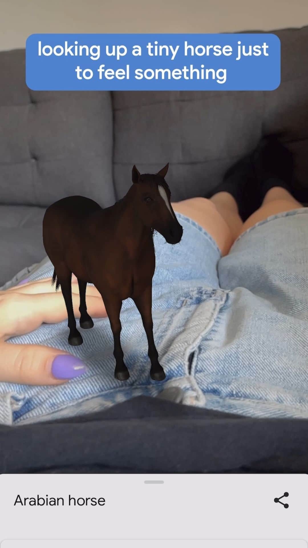 Googleのインスタグラム：「search “horse” in the Google app & tap the 3D icon to start your horse girl era 🐴」