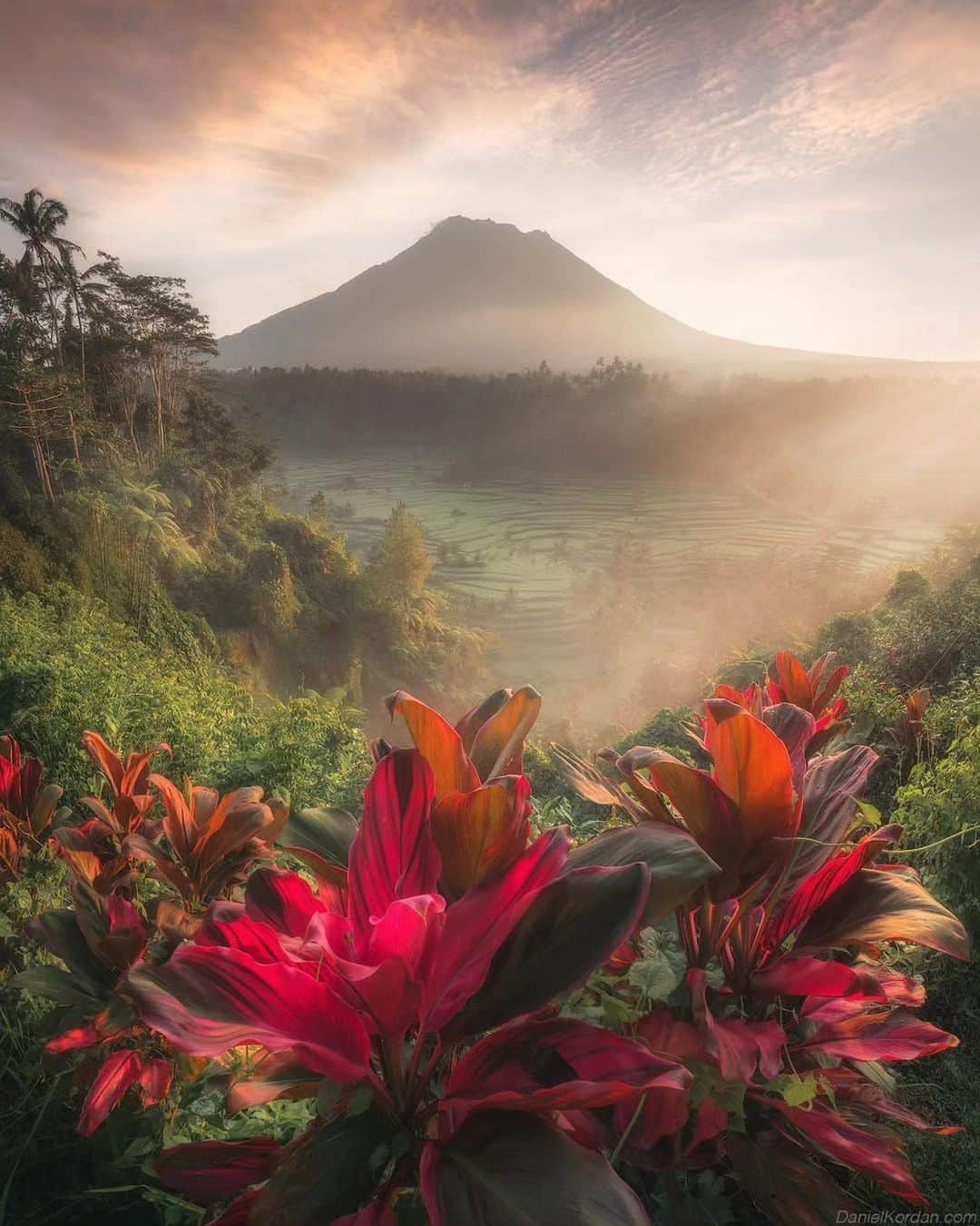 Discover Earthさんのインスタグラム写真 - (Discover EarthInstagram)「Sunrise serenades in Bali: where tradition dances to the rhythm of a new day 🌅💃🏽  📍Bali, Indonesia  🇮🇩 #DiscoverIndonesia with @danielkordan」9月8日 3時30分 - discoverearth