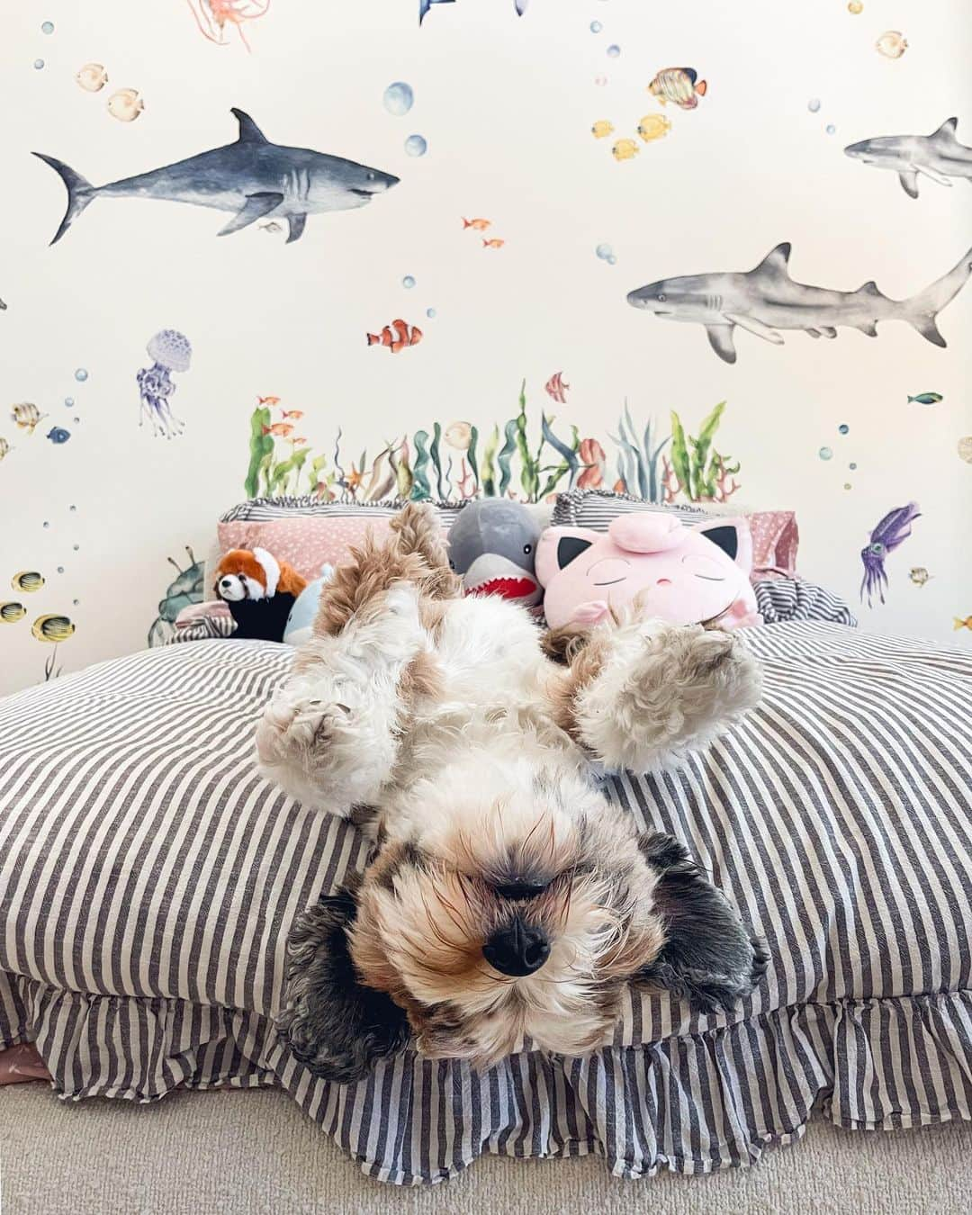 Buddy Boo Blueのインスタグラム：「When you can’t be bothered to wait for the weekend to start weekending.」