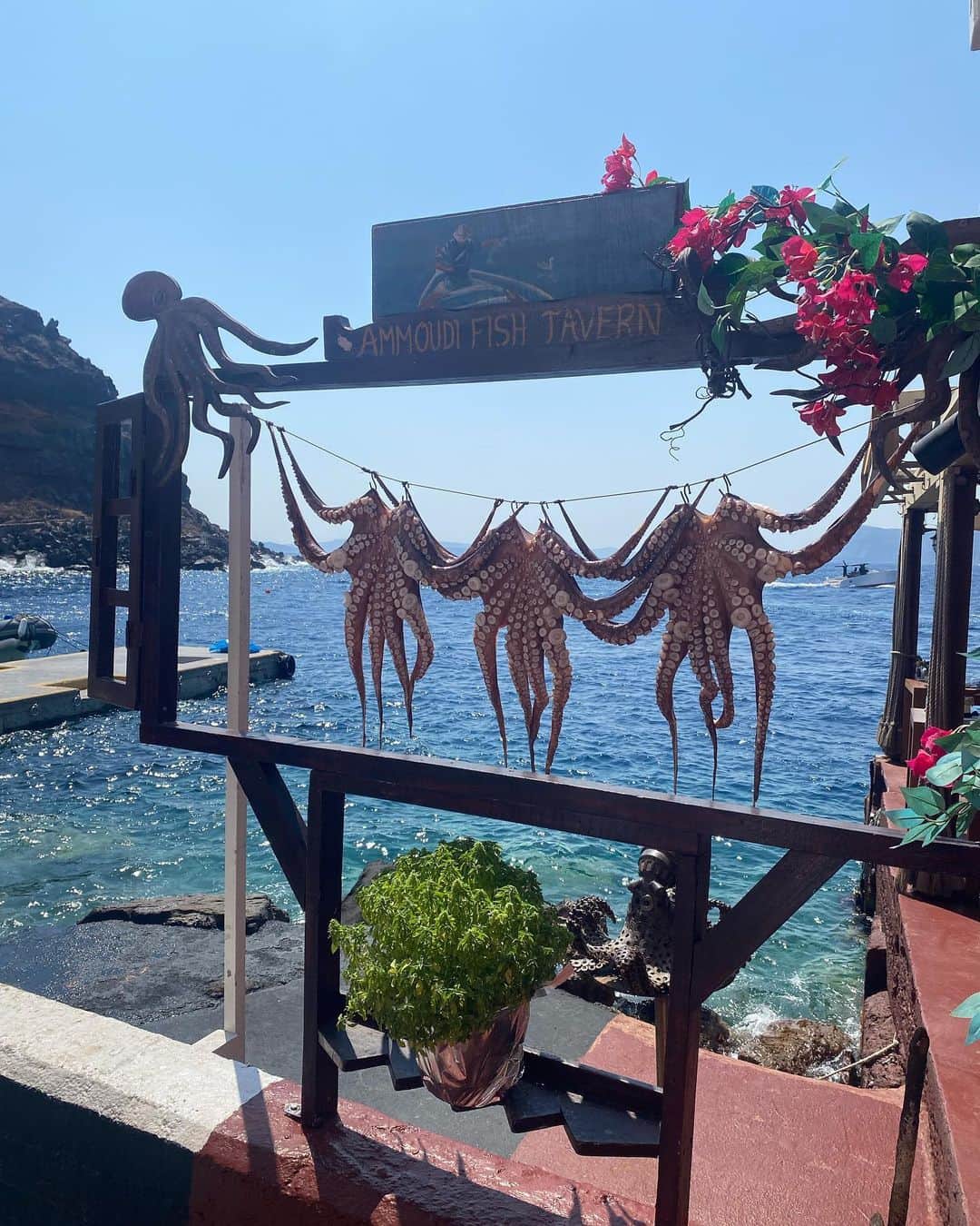 フェデリカ・テスタさんのインスタグラム写真 - (フェデリカ・テスタInstagram)「Santorini dump 🧡 La prima fuga da marito e moglie @mattecorradi 💫」9月8日 4時22分 - _fedetesta_
