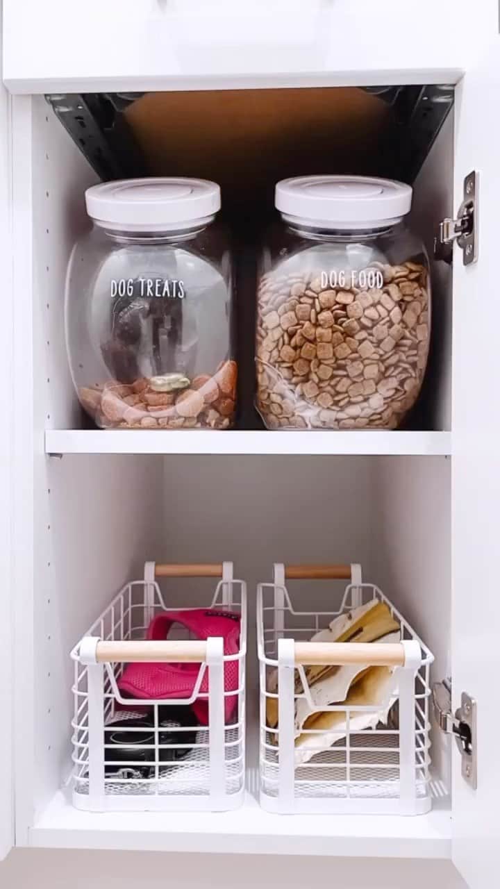 OXOのインスタグラム：「Pet-approved freshness in every bite! Keep your pets’ food paw-sitively perfect with our Pet POP Storage Containers. Airtight seals lock in flavor and keep kibble crunchy. Say goodbye to stale snacks and hello to tail-wagging delight! 🐶🐱  📹 by @heychantelljoy」