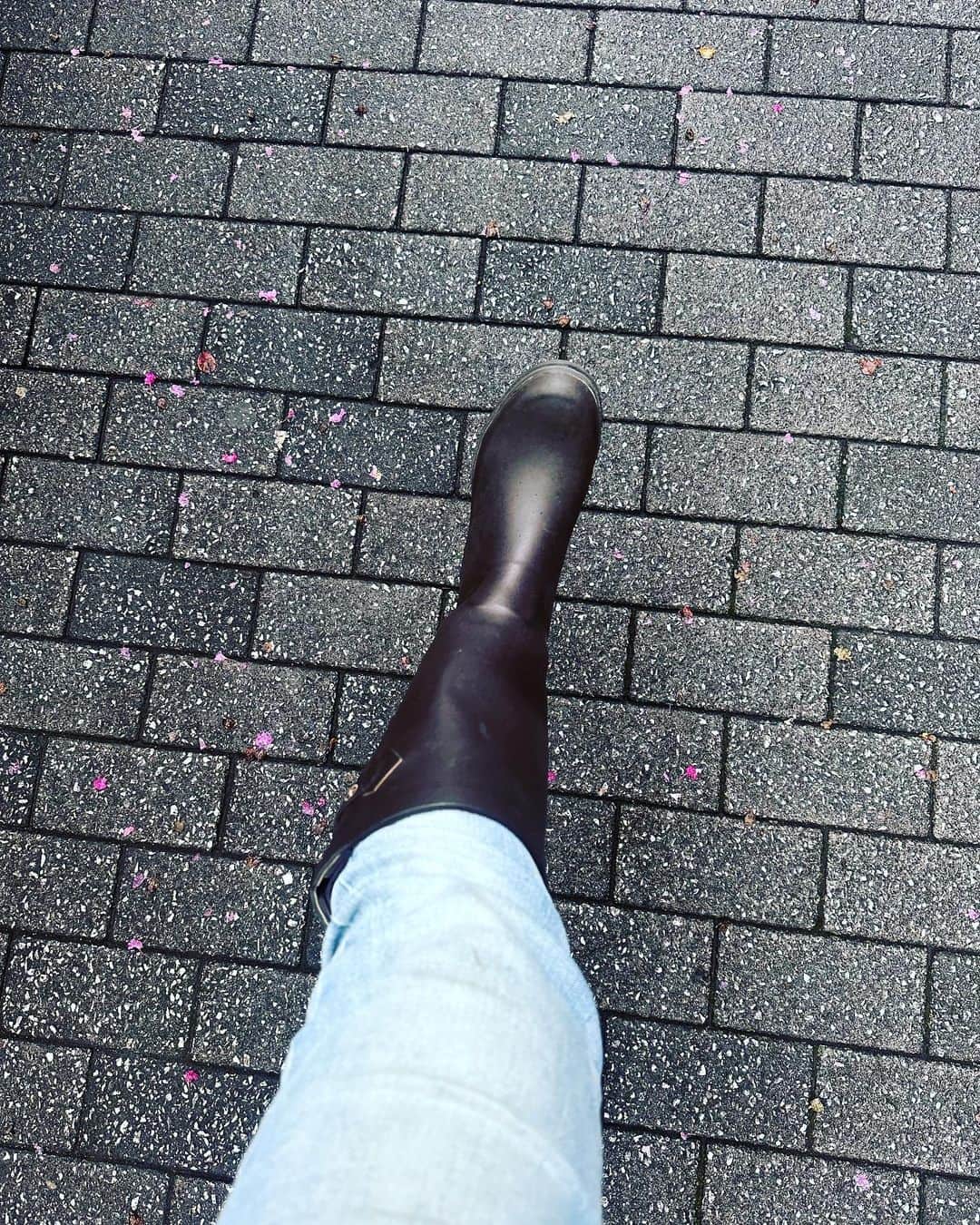 松井理子さんのインスタグラム写真 - (松井理子Instagram)「年に1回は出動させてるなぁ。  ロングの長靴。  雨の勢い収まってくると、ただの重たいゴムの靴と化してしまう代物。  時々しか使わないせいか全くへたらないから有難い。  今日マスカだけど夜は雨上がってんだよなー😂  #長靴のある生活 #大雨 #おしゃれ長靴」9月8日 14時42分 - ume_ume_phot