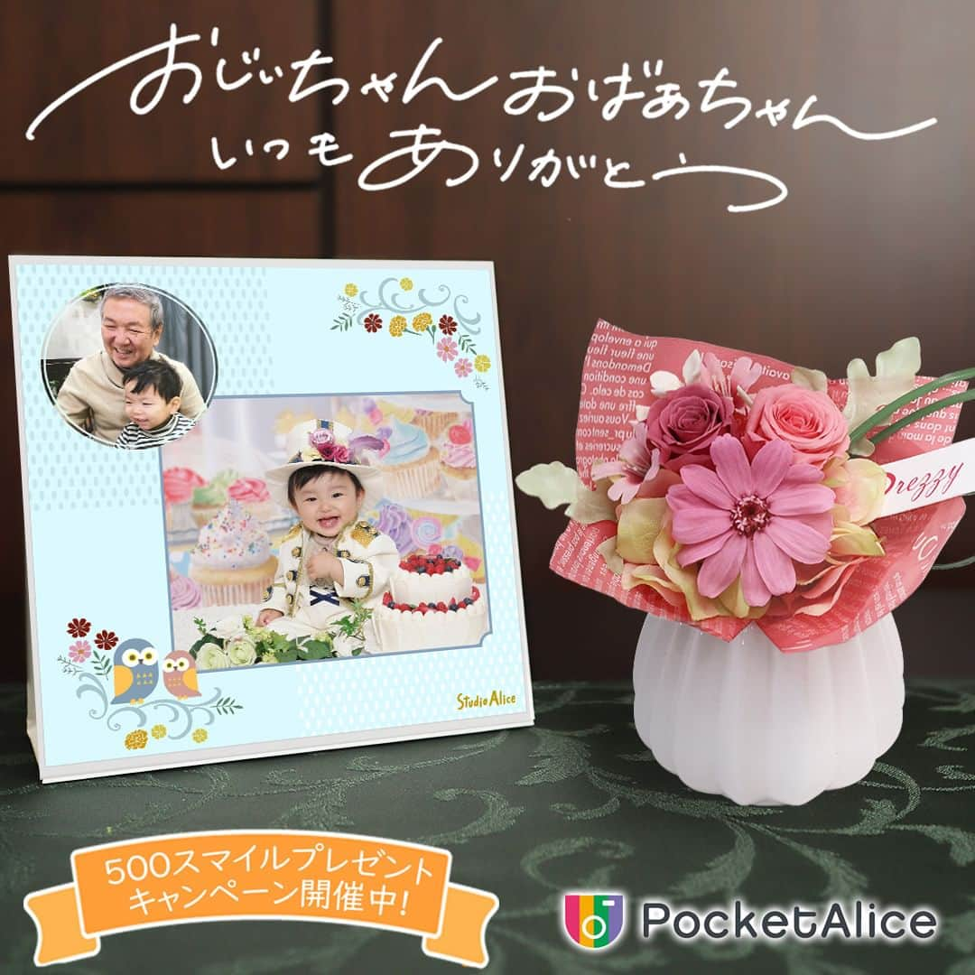 スタジオアリスさんのインスタグラム写真 - (スタジオアリスInstagram)「９月18日（月・祝）は敬老の日👴👵🌺 プレゼントをお悩みの方におすすめ💫  ＼まだ間に合います✨／ 9月11日(月)までのご注文で、敬老の日までにお届け🎁💨  📣ポケットアリス限定💡敬老の日ギフト販売中❣ ディスプレイとして飾ったり、保管用台紙としても活躍する大人気の「2WAY台紙(デザイン3種類)」🦉・お気に入りの写真を持ち運べる「クリアキーホルダー角型2面（スマフォトプラス）」をご用意しました🥰 全て限定デザイン入りです💝 単品購入なら限定ラッピング付きだから、プレゼントにぴったり💡  さらに+990円（税込）でギフトを付けられます✨ グルメやスイーツなど約1,300点を掲載している「カードギフト」・飾ってうれしい「プリザーブドフラワー」の2つから、好みにあわせてお選びください🎁💕  ／ 今なら敬老の日ギフト1点購入につき500スマイルがプレゼントされる限定キャンペーン開催中💫 ＼  ママパパから、おじいちゃん👴おばあちゃん👵へ 感謝の気持ちと一緒にお子さまのお写真をプレゼントしませんか💕  詳しくは、スタジオアリスHP内「敬老の日ギフト」ページをご覧ください🔎  #スタジオアリス #studioalice #ポケットアリス #敬老の日 #9月18日 #ギフト #ありがとう #贈り物 #プレゼント #家族写真 #写真は未来の宝もの」9月8日 15時00分 - studio.alice