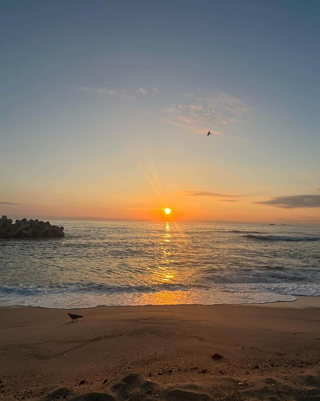 チェギョンさんのインスタグラム写真 - (チェギョンInstagram)「🌊🐬🐚👙🏖️🩵」9月8日 15時06分 - yunvely_0824