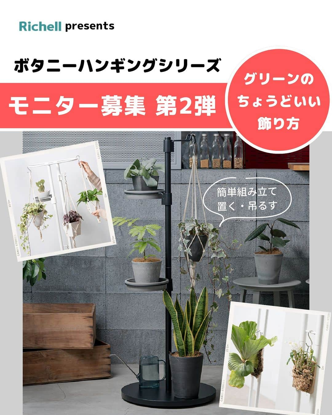 LOVEGREEN -植物と暮らしを豊かに。さんのインスタグラム写真 - (LOVEGREEN -植物と暮らしを豊かに。Instagram)「🌿モニター募集のお知らせ🌿  春に大好評だった「ボタニー ハンギングシリーズ」のモニター募集が再び！  観葉植物を置いたり、吊るしたり、簡単組み立てであっという間にボタニカルな空間がつくれる下記2アイテムのモニターを募集します🚀 ↓ ①自立式スタンドで植物をたっぷり飾れる「ボタニー ハンギングスタンド」 ②底面キャスター付きで移動も楽々の「ボタニー キャスター付ハンギングポール」  「ボタニカル空間を手軽につくりたい！」という人はぜひお試しください☘  ＝＝＝＝＝＝＝＝＝＝＝＝＝＝＝＝＝＝＝＝＝＝＝＝  ≪応募期間≫ 2023.9.8（金）～9.14（木）  ≪応募条件≫ ・インスタグラムが非公開アカウントではない方 ・モニター商品の使用体験をインスタグラムのフィード 　ストーリーズ・リール動画などで投稿いただける方 　※10月中までに商品の使用感や使用シーン等の 　　投稿をお願いいたします。 　 ・以下ハッシュタグ／メンションをつけていただける方 　↓ #ボタニーハンギングシリーズ #モニター @richell_official_jp @lovegreen_official  ※投稿写真は、LOVEGREEN記事／公式SNSで使用させていただくことがあります。  ≪応募方法≫ ①本アカウントをフォロー ②下記4商品から希望商品1点選んでコメント一言で応募完了 ↓ ・ボタニー ハンギングスタンド　ブラック ・ボタニー ハンギングスタンド　ホワイト ・ボタニー キャスター付ハンギングポール ブラック ・ボタニー キャスター付ハンギングポール ホワイト  ≪当選人数≫ 10名様  ≪選考≫ 社内選考の上、インスタグラムのDMにてご連絡させてい ただきます。  ＝＝＝＝＝＝＝＝＝＝＝＝＝＝＝＝＝＝＝＝＝＝＝＝  本募集は締め切りました。たくさんのコメントありがとうございました！  当選者の方には後日DMにてご連絡させていただきます✉️  #ボタニーハンギングシリーズ #植物生活 #植物のある生活 #植物のある暮らし #観葉植物 #観葉植物好き #観葉植物のある家 #観葉植物インテリア #観葉植物のある生活 #観葉植物のある暮らし #観葉植物がある暮らし #観葉植物好きな人と繋がりたい #インテリアグリーン #インテリアグリーンのある生活 #インテリアグリーンのある暮らし #インテリアグリーンスタイリング #モニター #モニター募集 #モニター企画 #モニター募集中」9月8日 8時00分 - lovegreen_official