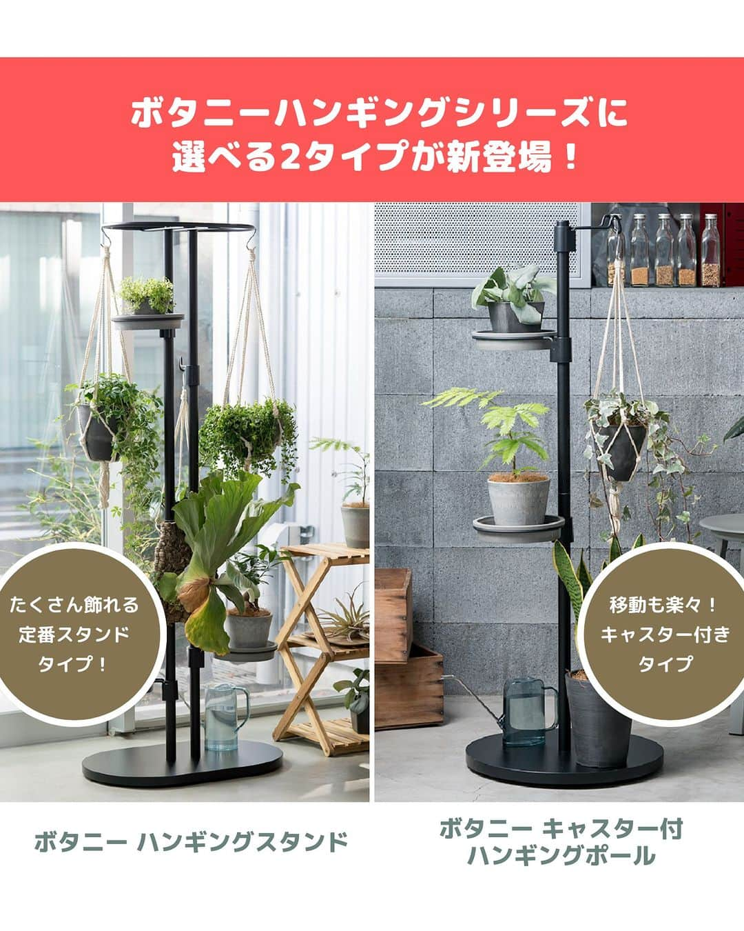 LOVEGREEN -植物と暮らしを豊かに。さんのインスタグラム写真 - (LOVEGREEN -植物と暮らしを豊かに。Instagram)「🌿モニター募集のお知らせ🌿  春に大好評だった「ボタニー ハンギングシリーズ」のモニター募集が再び！  観葉植物を置いたり、吊るしたり、簡単組み立てであっという間にボタニカルな空間がつくれる下記2アイテムのモニターを募集します🚀 ↓ ①自立式スタンドで植物をたっぷり飾れる「ボタニー ハンギングスタンド」 ②底面キャスター付きで移動も楽々の「ボタニー キャスター付ハンギングポール」  「ボタニカル空間を手軽につくりたい！」という人はぜひお試しください☘  ＝＝＝＝＝＝＝＝＝＝＝＝＝＝＝＝＝＝＝＝＝＝＝＝  ≪応募期間≫ 2023.9.8（金）～9.14（木）  ≪応募条件≫ ・インスタグラムが非公開アカウントではない方 ・モニター商品の使用体験をインスタグラムのフィード 　ストーリーズ・リール動画などで投稿いただける方 　※10月中までに商品の使用感や使用シーン等の 　　投稿をお願いいたします。 　 ・以下ハッシュタグ／メンションをつけていただける方 　↓ #ボタニーハンギングシリーズ #モニター @richell_official_jp @lovegreen_official  ※投稿写真は、LOVEGREEN記事／公式SNSで使用させていただくことがあります。  ≪応募方法≫ ①本アカウントをフォロー ②下記4商品から希望商品1点選んでコメント一言で応募完了 ↓ ・ボタニー ハンギングスタンド　ブラック ・ボタニー ハンギングスタンド　ホワイト ・ボタニー キャスター付ハンギングポール ブラック ・ボタニー キャスター付ハンギングポール ホワイト  ≪当選人数≫ 10名様  ≪選考≫ 社内選考の上、インスタグラムのDMにてご連絡させてい ただきます。  ＝＝＝＝＝＝＝＝＝＝＝＝＝＝＝＝＝＝＝＝＝＝＝＝  本募集は締め切りました。たくさんのコメントありがとうございました！  当選者の方には後日DMにてご連絡させていただきます✉️  #ボタニーハンギングシリーズ #植物生活 #植物のある生活 #植物のある暮らし #観葉植物 #観葉植物好き #観葉植物のある家 #観葉植物インテリア #観葉植物のある生活 #観葉植物のある暮らし #観葉植物がある暮らし #観葉植物好きな人と繋がりたい #インテリアグリーン #インテリアグリーンのある生活 #インテリアグリーンのある暮らし #インテリアグリーンスタイリング #モニター #モニター募集 #モニター企画 #モニター募集中」9月8日 8時00分 - lovegreen_official