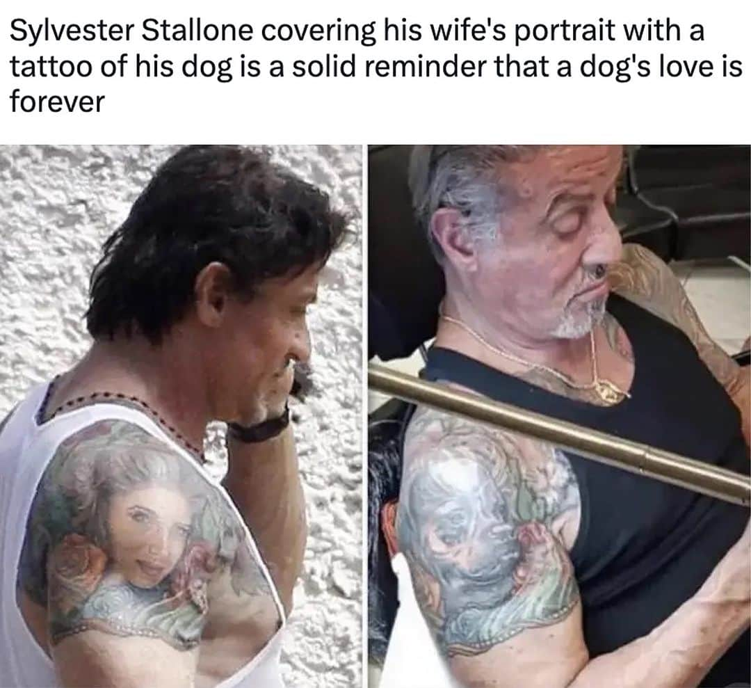 BarkBoxのインスタグラム：「🚨LEARN FROM STALLONE AND GET YOUR DOG TATTOOED IN THE FIRST PLACE🚨 and if you want BARK to pay for it, tomorrow is your last day 😢 so RUN to the link in our bio」