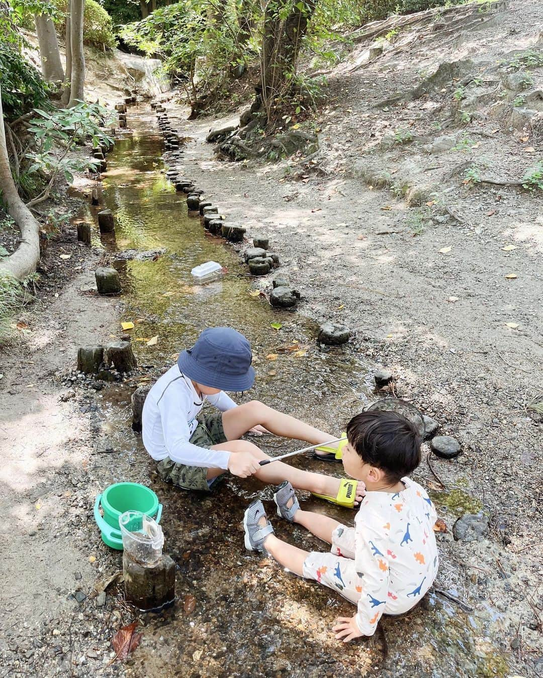 ayacasuのインスタグラム：「* * * 仲良し親子と夏休み川遊びした時の🏞️ ジャングルみたいなとこ進んでいくと この小川にたどり着いた✨ あんまり知られてないらしく 日陰で貸し切りで最高😊♡ * エビ・メダカ・小さいお魚・タニシ たくさん捕まえたよ~ .ᐟ.ᐟ ザリガニ🦞もおったみたい💡 * 👦🏻も『 楽し~ .ᐟ.ᐟ 』って何度も言いながら 喜んでました😂♡ 自然に触れてもっと生き物大好きになるといいな✨ * * * #川遊び #小川遊び #子連れおでかけ  #アウトドア #自然いっぱい  #自然が好き #服部緑地公園  #夏休み #夏の思い出 #男の子ママ #2歳10ヶ月 #2歳男の子」