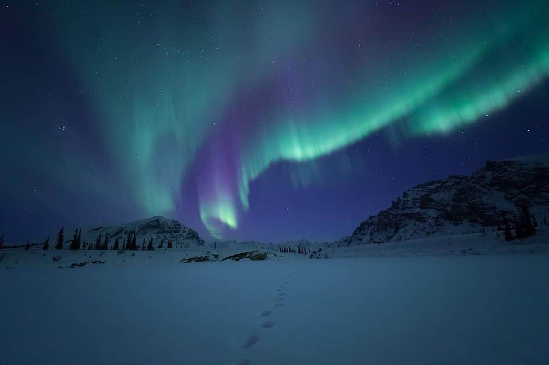 patagoniaさんのインスタグラム写真 - (patagoniaInstagram)「This is what protecting our planet looks like: The Biden administration is canceling the final oil and gas leases in the Arctic National Wildlife Refuge's coastal plain and proposing to expand protections against drilling in the National Petroleum Reserve in Alaska. This area is a swath of public land that’s rich in natural beauty and biodiversity and, importantly, these are critical wins for Indigenous communities and future generations.  We join the Gwich'in Steering Committee, Tribal Governments and Iñupiat allies in celebrating this announcement and thanking the Biden administration. We’ve been working with our friends in Alaska for the last two decades to protect communities, conserve land and fight the climate crisis.   In the coming weeks, we hope you will join us in submitting comments to advance these historic victories.   Photos courtesy of Florian Schulz (@florianschulzvisuals) | ProtectTheArctic.org」9月8日 9時13分 - patagonia