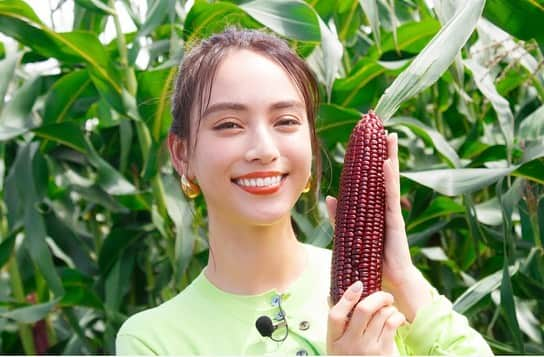 日本テレビ「満天☆青空レストラン」のインスタグラム：「️ 🌽 明日の青空レストランは 長野県塩尻市で育てられている 日本初の赤いスイートコーン 「大和ルージュ」をご紹介します🌽  ゲストは滝沢カレンさんです✨✨  トウモロコシなのに まるで竹⁉︎ マングローブ⁉︎ ザクロ⁉︎  不思議がたくさんつまった「大和ルージュ」を 収穫させて頂きました🌽✨  この「大和ルージュ」 優しい甘さとシャキシャキ食感がたまりません😋  放送をお楽しみに🌈  #満天青空レストラン #青空レストラン #青空 #青レス #満天 #宮川大輔 #大ちゃん #うまい　#レシピ #日テレ #日本テレビ #長野県　#塩尻市 #ロケ　#とうもろこし　#トウモロコシ #大和ルージュ #滝沢カレン #サッポロ　#サッポロで乾杯」