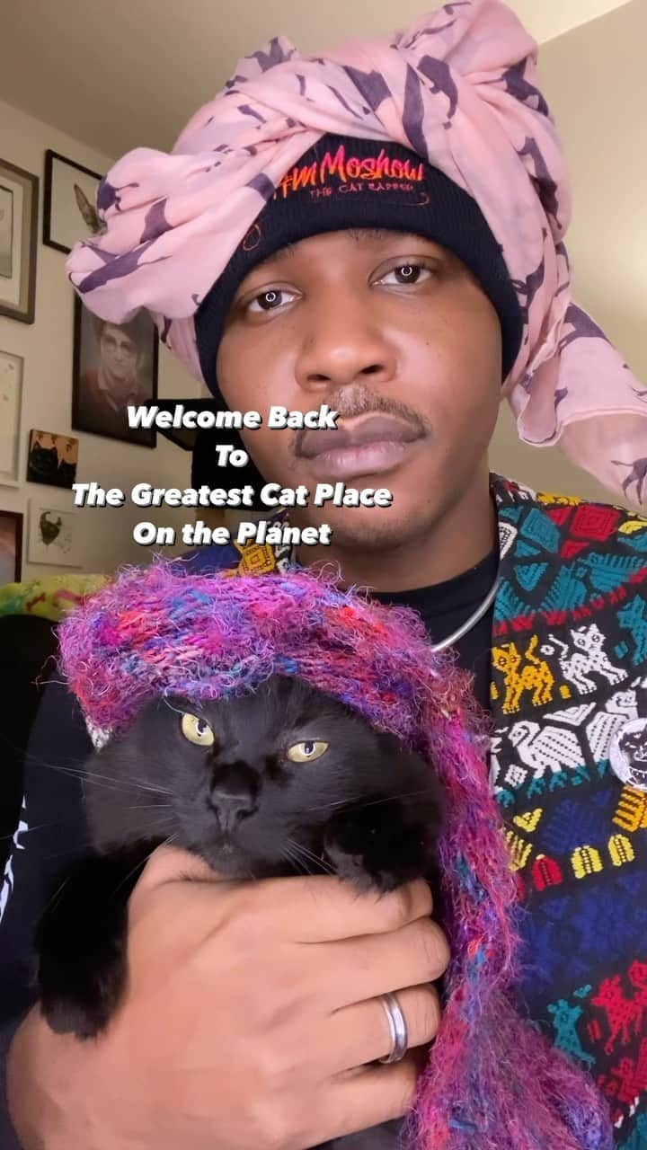 MSHO™(The Cat Rapper) のインスタグラム：「Welcome Back!!! This is the safe space! Sit back, relax and love your cat!!! COMMENT if you want MORE!!! It’s up to…. YOU!!! Are you having fun!? #ASMR #TheCatRapper #Zen #Calm #Meditation #DjRavioli #Relaxing #MoGang」