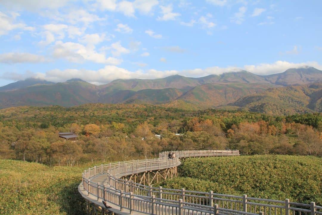 日本の国立公園のインスタグラム：「Explore Hokkaido’s untouched wilderness from the pathways of Shiretoko Goko Lakes 🏞️🐻  Shiretoko National Park protects the unspoiled beauty of northeastern Hokkaido. Within the park, you can find the Shiretoko Goko Lakes with two walking paths built around the five lakes leading you to the farther reaches of the park.   Elevated Wooden Pathway: This boardwalk provides views of the Okhotsk Sea, the snowcapped Shiretoko mountains, and one of the five lakes. The boardwalk is a 1.6 km round trip and is free to enter from when the park opens in spring to when the park closes in fall. It has a smooth and level surface allowing wheelchair access. ♿️🏔️  Ground Pathway: This pathway allows visitors to get closer to nature in Shiretoko, with two different options: the long route and the short route. You can see four lakes on the large route and one lake on the short route. The long route is 3 km and the short route is 1.6 km. In order to protect the wildlife and visitors, there are entry requirements depending on the season. From when the park opens to May 9 and August 1 to when the park closes, visitors must take a lecture on vegetation protection and bear safety. From May 10 to July 31, when brown bears are active, visitors must register for a lecture and guided tour. 👀👣  Experience unique habitats and stunning vistas in Shiretoko. 🎒🥾  📍 Shiretoko Goko Field House, Hokkaido   📸 Walking along the elevated wooden pathway of Shiretoko Goko Field House (Photo By：©Shiretoko Shari-cho Tourist Association) 📸 Close-up of the ground pathway 📸 Views from the Shiretoko Goko Field House ground pathway 📸 A view from the elevated wooden pathway  #NationalParksJP #ShiretokoNationalPark #ShiretokoGoko #ShiretokoFiveLakes  #Hokkaido #Shiretoko #BeautifulHikes #NatureLovers #DayHikes #WildNature #JapanTravel #Japan #Travel #Tourism #ExploreJapan #DiscoverJapan #VisitJapan #日本 #国立公園」