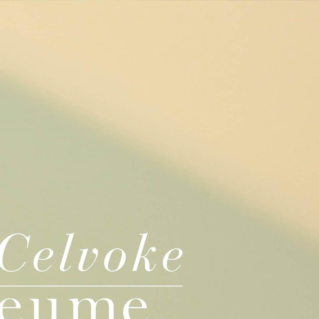 celvoke.jpのインスタグラム