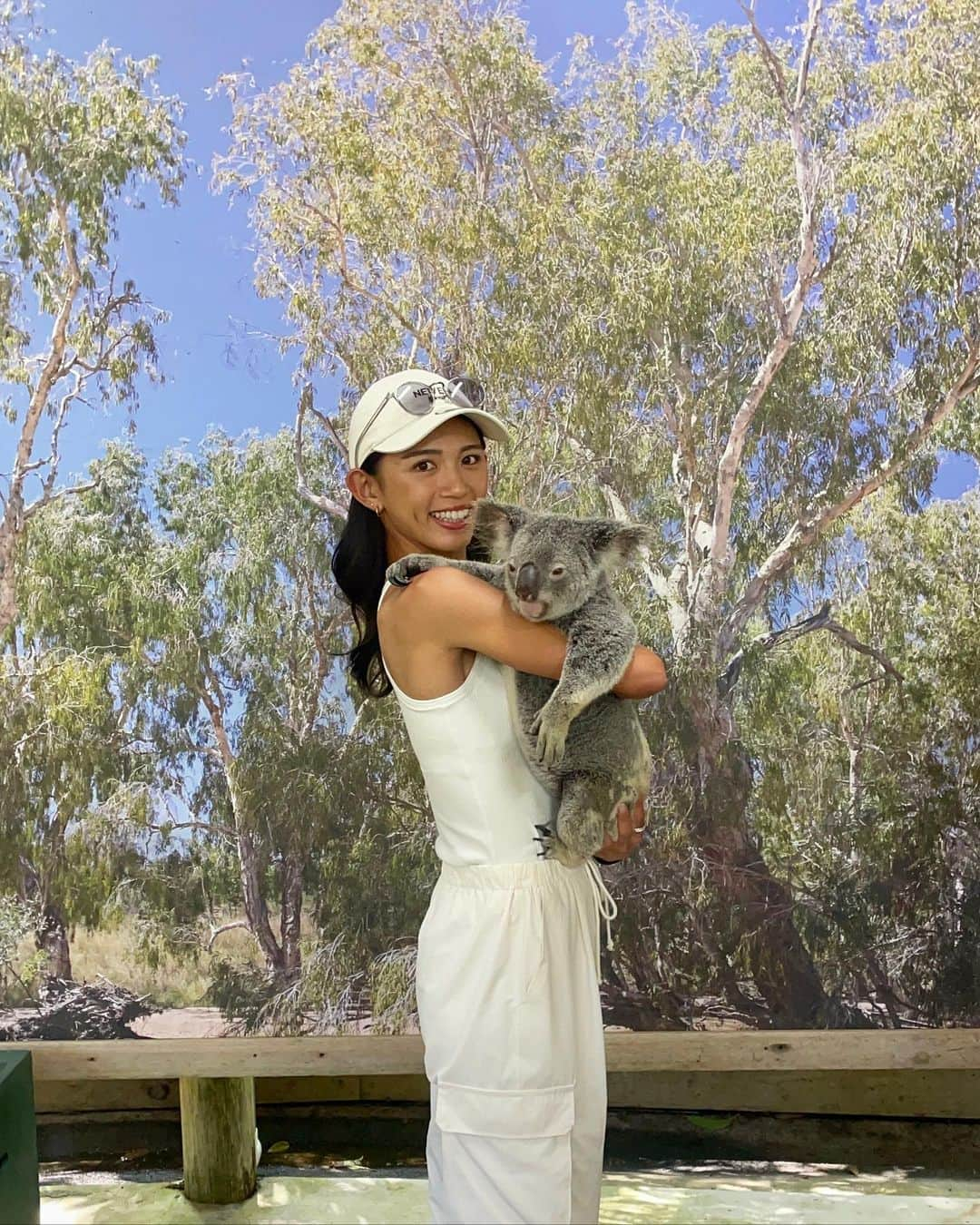 坪井ミサトさんのインスタグラム写真 - (坪井ミサトInstagram)「初めてのAustralia🇦🇺✨  【1st day】 早朝に到着し、海越しの朝日☀️  念願のコアラを抱っこ🐨♡  スーパーでのお買い物は 可愛いが溢れてる🥹  滝のパワースポット行って エネルギーチャージ。  夜ご飯はHome party🍴  あっという間の初日でした☺️  ※しばらくAustralia投稿に お付き合いください🙇‍♀️  #Australia #ケアンズ #オーストラリア #旅行 #familytrip #家族旅行 #cairns #思い出」9月8日 10時24分 - misato1030