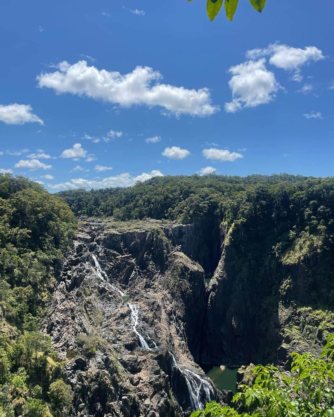 坪井ミサトさんのインスタグラム写真 - (坪井ミサトInstagram)「初めてのAustralia🇦🇺✨  【1st day】 早朝に到着し、海越しの朝日☀️  念願のコアラを抱っこ🐨♡  スーパーでのお買い物は 可愛いが溢れてる🥹  滝のパワースポット行って エネルギーチャージ。  夜ご飯はHome party🍴  あっという間の初日でした☺️  ※しばらくAustralia投稿に お付き合いください🙇‍♀️  #Australia #ケアンズ #オーストラリア #旅行 #familytrip #家族旅行 #cairns #思い出」9月8日 10時24分 - misato1030