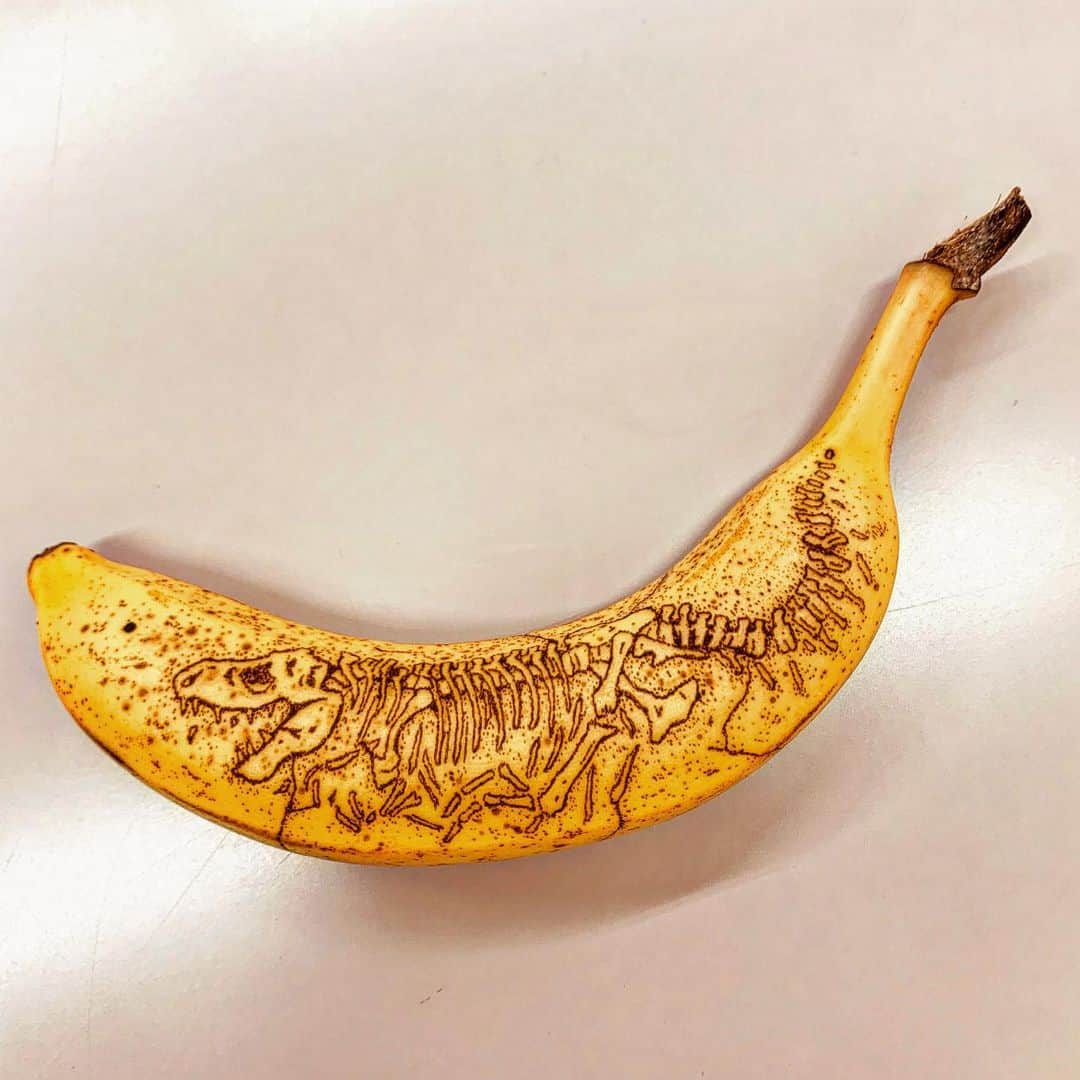 エンドケイプのインスタグラム：「🍌🦖 #食べるまでがアートです  #プレバト #バナナアート #バナナート #バナナ #アート #化石 #恐竜  #エンドケイプ  #bananaart #fossil #art」