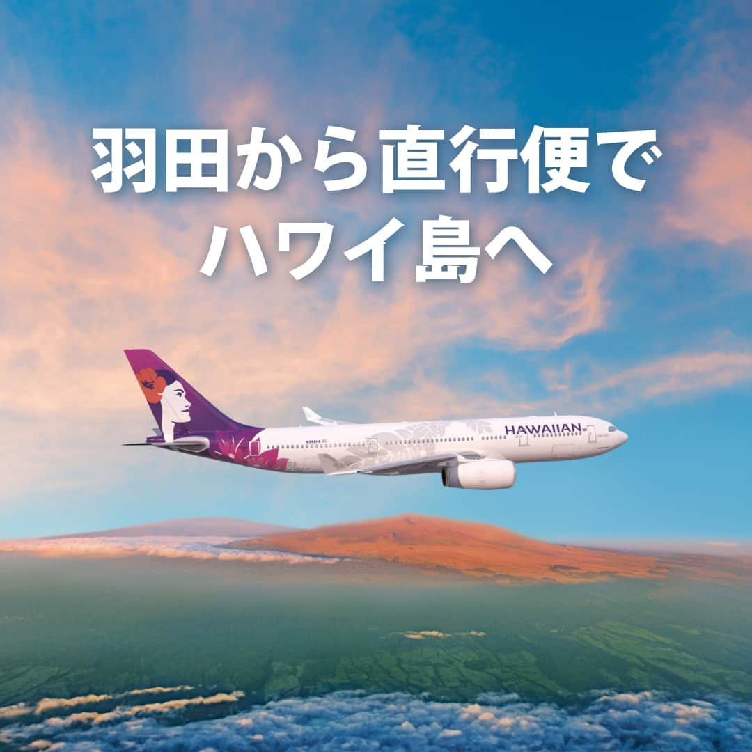 ハワイアン航空のインスタグラム：「祝🎊羽田―コナ線再開！  ハワイアン航空は10月29日より羽田からコナへ直行便の運航を再開します。 羽田発、ハワイ・コナ発ともに10月29日から11月4日（ともに現地時間）の間に3便を運航します✈ その後11月22日より週1便で運航し、2024年3月にかけて段階的に従来の週3便の運航に戻していく予定です。  【HA852/852便運航スケジュール】 10月29日から運航再開：10/29, 11/1, 11/3 11月22日~：水 3月1日~：金・日 3月13日~：水・金・日  皆さまのご利用をお待ちしております！  #HNDKOA #コナ便 #羽田コナ #hawaii  #TravelPono #ハワイ好きな人と繋がりたい」