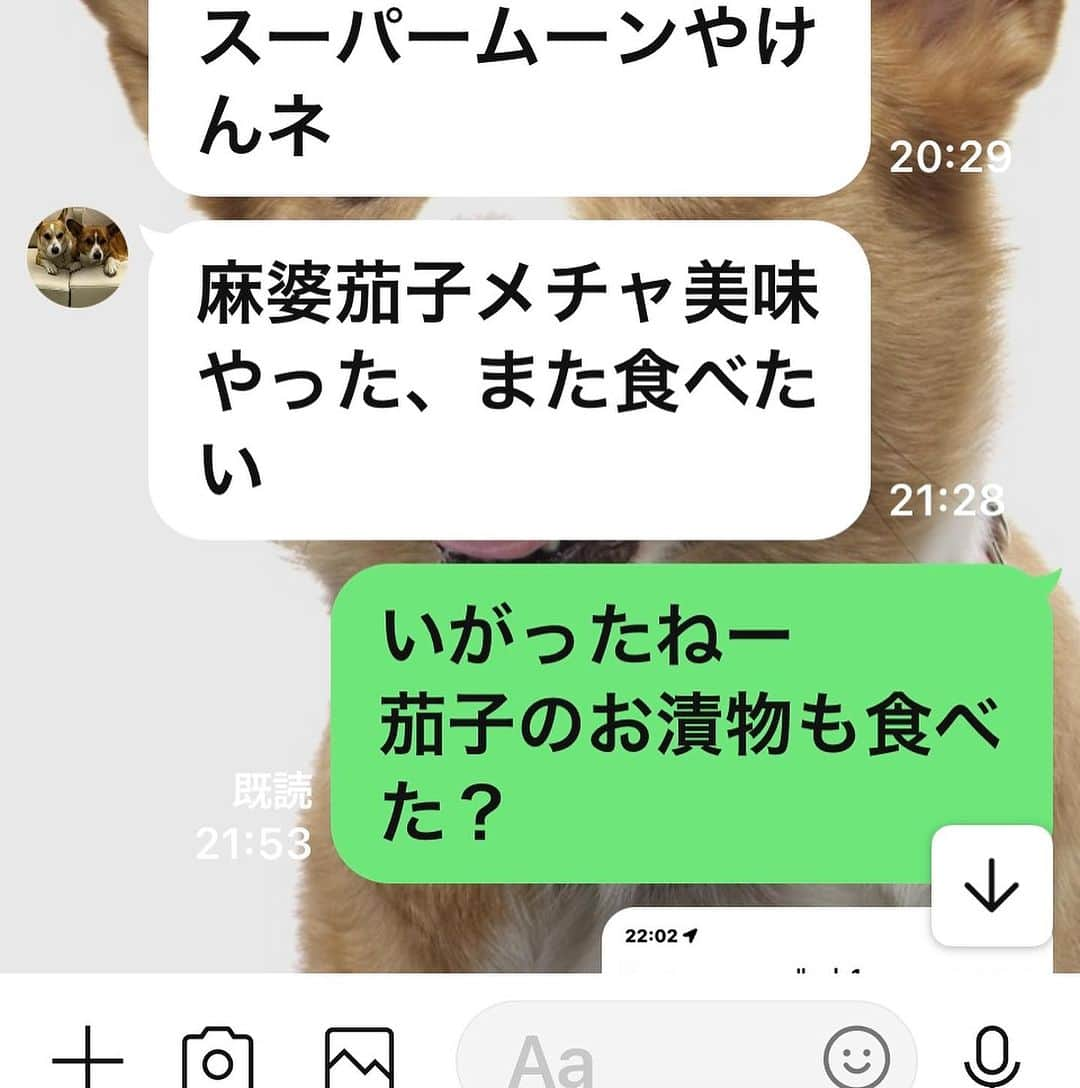 橋本志穂のインスタグラム