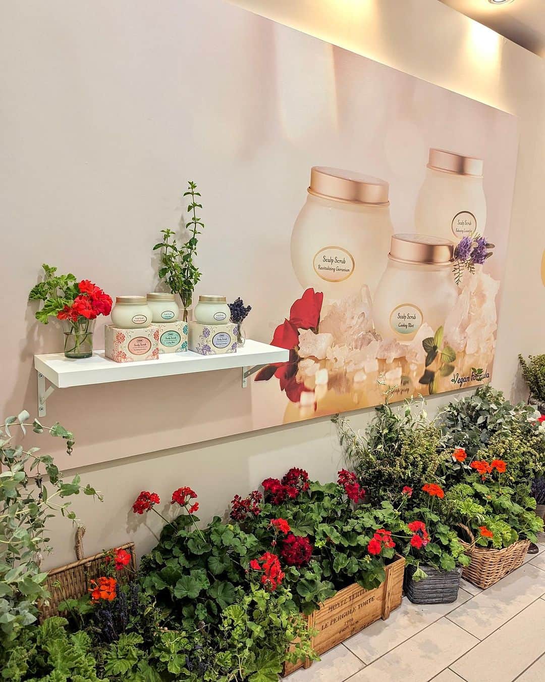 石井里奈さんのインスタグラム写真 - (石井里奈Instagram)「9/1に発売した @sabon_japan の新製品、ヘッドスクラブを試してきたよ︎🌼💚 . 普段のシャンプーの前に頭皮につけてマッサージするだけ！ 3種類あってオイリーにはリフレッシング、乾燥にはリラクシング、エイジングケアにはリプレニッシングがおすすめ❤️ . 私は暑い夏で汗がすごかったのでリフレッシングを体験！すごくすっきりして汚れがしっかり落とせた感じ！ だからシャンプーの泡立ちも良くて普段の使用量がかなり少なくなったよ🩷 容器もかわいいのでギフトにも♡ . 髪の毛の立ち上がりもよくてサラサラ髪になって嬉しかったな🥹♥️ . #sabon #サボン #sabonヘッドスクラブ #sabon頭皮ケア #ヘアケア #スクラブ #scrub #ヘアトリートメント #ギフト #プレゼント #ミント #ゼラニウム #ラベンダー #香りフェチ #匂いフェチ #スカルプケア #頭皮ケア」9月8日 11時46分 - ri7tin1025