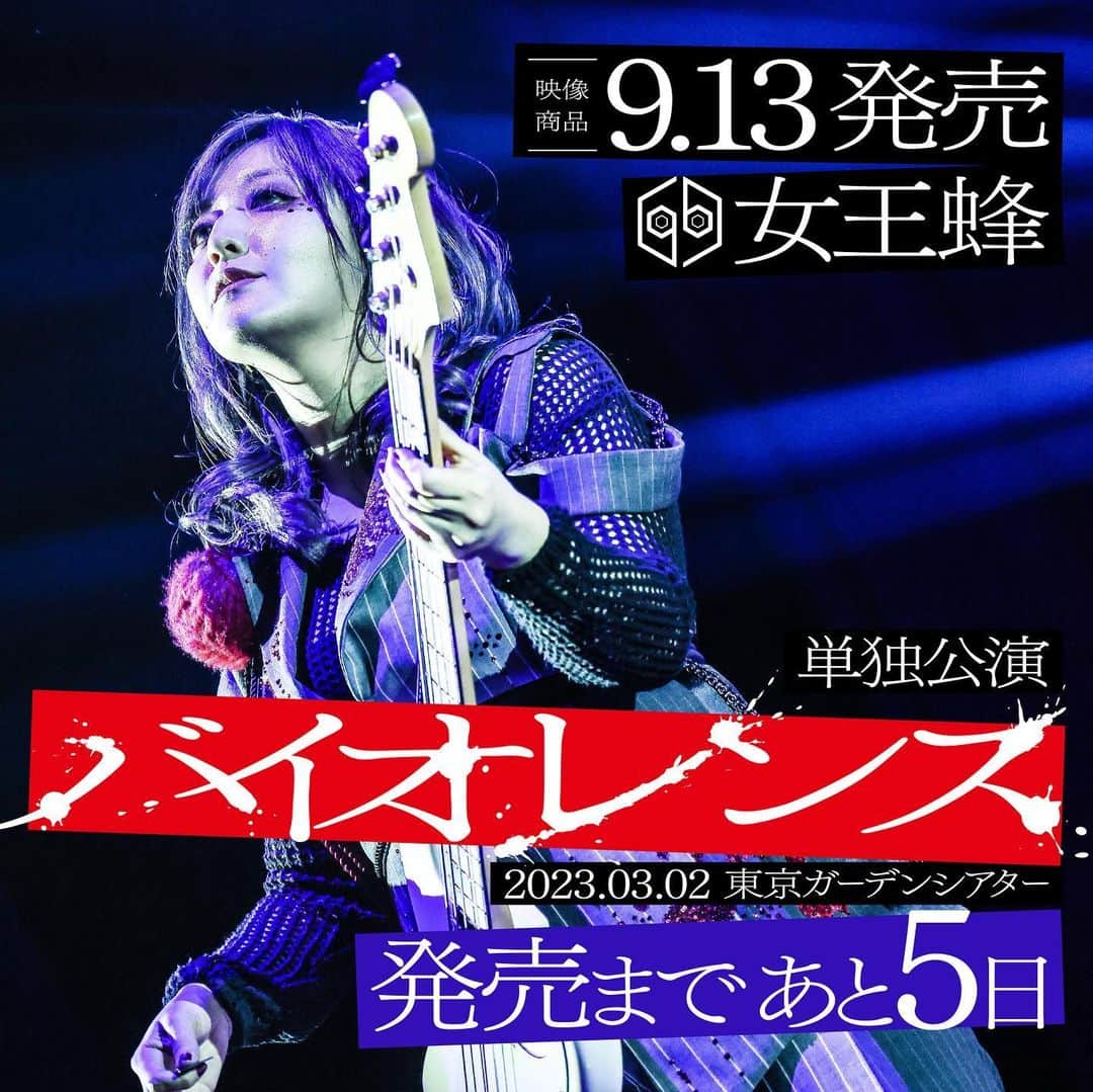女王蜂 単独公演「バイオレンス」 完全生産限定盤 （女王蜂 Live
