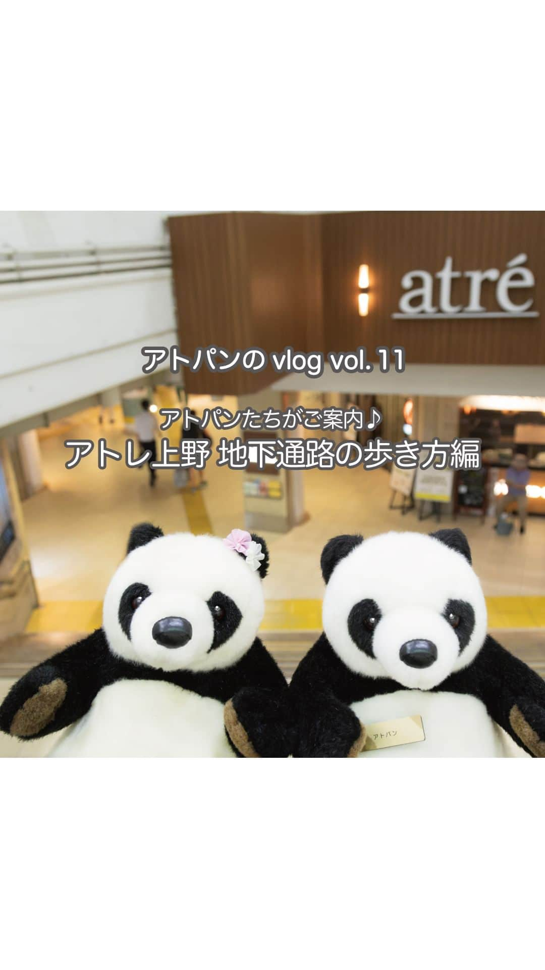 アトレ上野（atre ueno）のインスタグラム：「"アトパンのVlog vol.11🐼💓  今回はアトレ上野の地下通路の歩き方を案内するよ🐾 上野駅は地下通路で色々な路線の乗り場に繋がっていたり、アトレ上野の地下1階には魅力的なショップもあるよ♪  ぜひ動画をチェックして地下通路を探検してみてね🌟"  "In this time, we will show you how to walk through the underground passageway of atre Ueno🐾 Ueno station is connected to various train lines by underground passageways, and there are also some fascinating stores on the basement floor of the atre Ueno♪  Check out the video and explore the underground passage 🌟"  "今天跟大家介紹atre上野地下通道的走法🐾 上野車站的地下通道連接著各種不同的線路的站台， 而atre上野的地下一樓也有許多迷人的商店♪  請大家看看影片，一起來探索這個地下通道吧🌟"   #上野 #アトレ上野 #アトレ #atre #atreueno #パンダ #上野パンダ #上野散策 #熊猫 #東京観光 #PANDA #🐼 #ueno #tokyotour #ぬい撮り#上野駅#東京デート#上野デート#上野ショッピング#上野カフェ#上野ランチ#上野公園#上野動物園#アメ横#tokyoshopping#uenostation#ameyoko#uenopark#uenozoo」