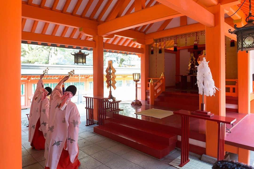 juno_jinjakonさんのインスタグラム写真 - (juno_jinjakonInstagram)「⁡ ⁡ 住吉神社では儀式殿で挙式をされる方が 多い印象ではございますが 私たちがオススメしたいのは 緑に包まれた境内に佇む美しい社殿での挙式。 ⁡ 古式に則り厳粛に執り行われ、 巫女による特別雅楽がお楽しみいただけます。 ⁡ ⁡ 📍住吉神社(福岡県) 日本最古の住吉神社として有名。 撮影スポットも多く、 お写真も重視されているお2人におすすめです。 ⁡ －－－－－－－－－－－－－－－－－－－－－－－ ⁡ △ご予約方法△ @juno_jinjakon ホーム画面のURL よりお待ちしております。 ⁡ －－－－－－－－－－－－－－－－－－－－－－－ ⁡ お電話でのお問合せ、ご予約は⇩ ☏ 092-262-1107 (定休日:火曜日・水曜日) ⁡ ⁡ #神社挙式#白無垢#色打掛#引き振袖 プレ花嫁#家族婚#少人数結婚式 #福岡花嫁#神社婚 #太宰府天満宮#住吉神社#護国神社 #警固神社#香椎宮#宗像大社#竈門神社 #櫛田神社#宮地嶽神社」9月8日 12時03分 - juno_jinjakon