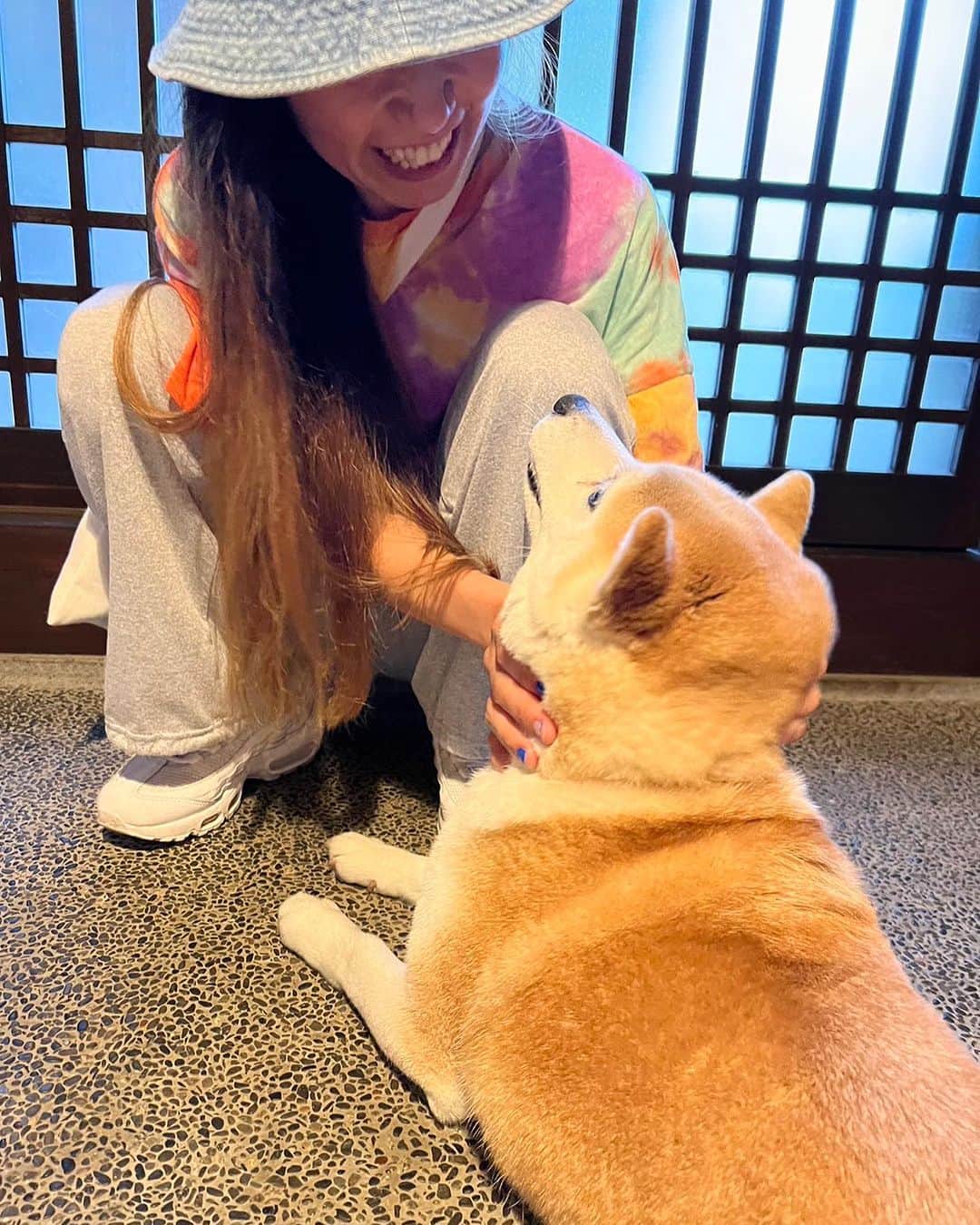 多和田えみのインスタグラム：「初対面で出会って数秒でお腹を見せ、お友だちになってくれた可愛子ちゃん🤤🫶🧡  そうそう、よく気づいたね、人の皮を被ってるけど私も中身イヌなんだよ🤣」