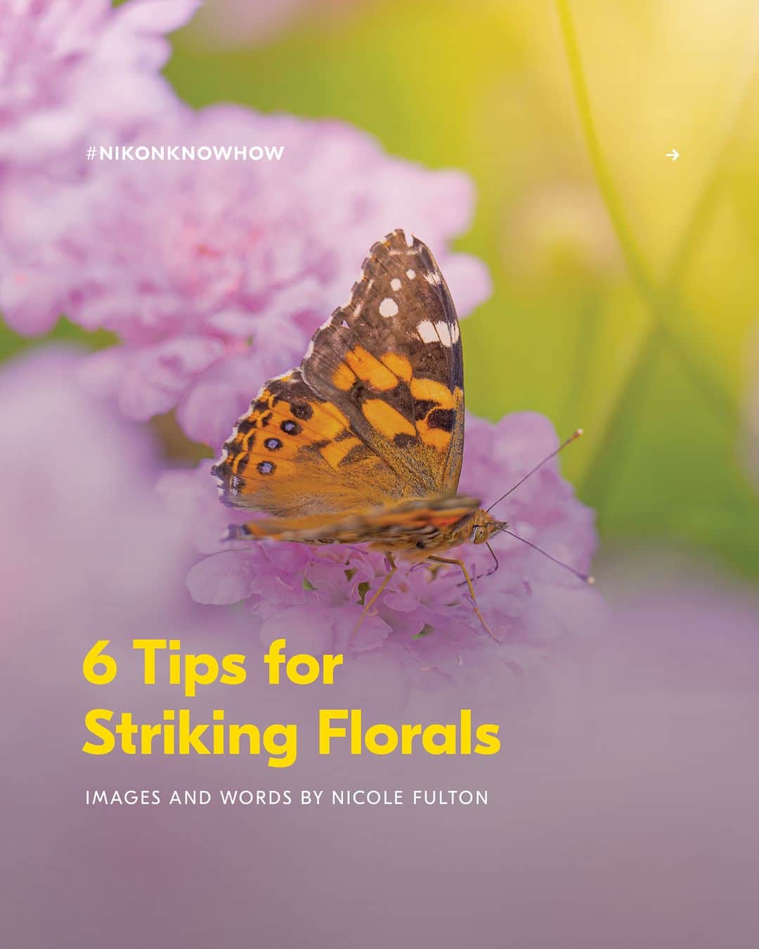 Nikon Australiaのインスタグラム：「Want to know how to take striking photos of florals this Spring?  In today's #NikonKnowHow, @_nicolefultonphotography_ shares her top tips for getting creative with macro photography in your garden this season in her 6 Tips for Striking Florals.   Swipe through to read them all!  #Nikon #NikonAustralia #MyNikonLife #NikonCreators #NikonKnowHow #Zseries #FloralPhotography #MacroPhotography #Australia」
