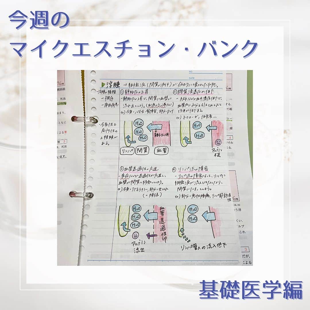 ネコナースのインスタグラム：「『今週のマイクエスチョン・バンク〜基礎医学編〜』  みなさんこんにちは👧🏻 国試勉強は順調でしょうか？今回は、クエスチョン・バンクを用いた勉強法を紹介します！  ▷マイクエスチョン・バンクとは？？ クエスチョン・バンクを切り離して解き、ルーズリーフなどにイラストや詳しい解説などを書き込んで理解を深めるという勉強法です．世界に一つだけの、自分の弱点を徹底解説したクエスチョン・バンクが完成するのです✨  これから毎週章ごとに投稿していくので、参考にしてみてください👀 マイクエスチョン・バンクを作って国試勉強頑張りましょう📣」