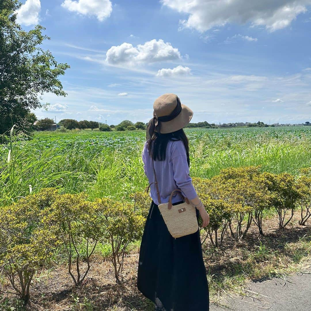 早川茉希さんのインスタグラム写真 - (早川茉希Instagram)「【2023夏の思い出🪷】 いきなりですが、 この背景に見えるものは何でしょう？😆  畑、、、  ではなく、花ハスです🪷  お盆に帰省した際 久々に訪れた館林市のつつじが岡公園🌺  ちょうど8/15までは花ハスまつりで 花ハス遊覧船が運行してた🥹🪷 息子がもう少し大きくなったら乗ってみたい❣️  園内はすごく広くてじゃぶじゃぶ池も空いていて！⛲️ 来年は水遊びもさせたい！！  息子は、たくさん歩いて大喜び👦 私はおしゃれなカフェで つつじソフトを食べました😋🍦  館林は生まれた地✨ 祖母の家があるのでよく行くけれど なかなか訪れる機会がなかった場所！ 教えてくれた友達に感謝😍👏  #群馬 #館林 #蓮沼 #城沼 #花ハス #花ハス遊覧船 #館林観光 #群馬観光 #つつじが岡公園 #つつじソフトクリーム #帰省の思い出 #夏の思い出 #涼しくなってきたので急いで振り返る #休日 #自然は良いね #つくつくぼうしが鳴いてるよ」9月8日 23時44分 - maki_hayakawa