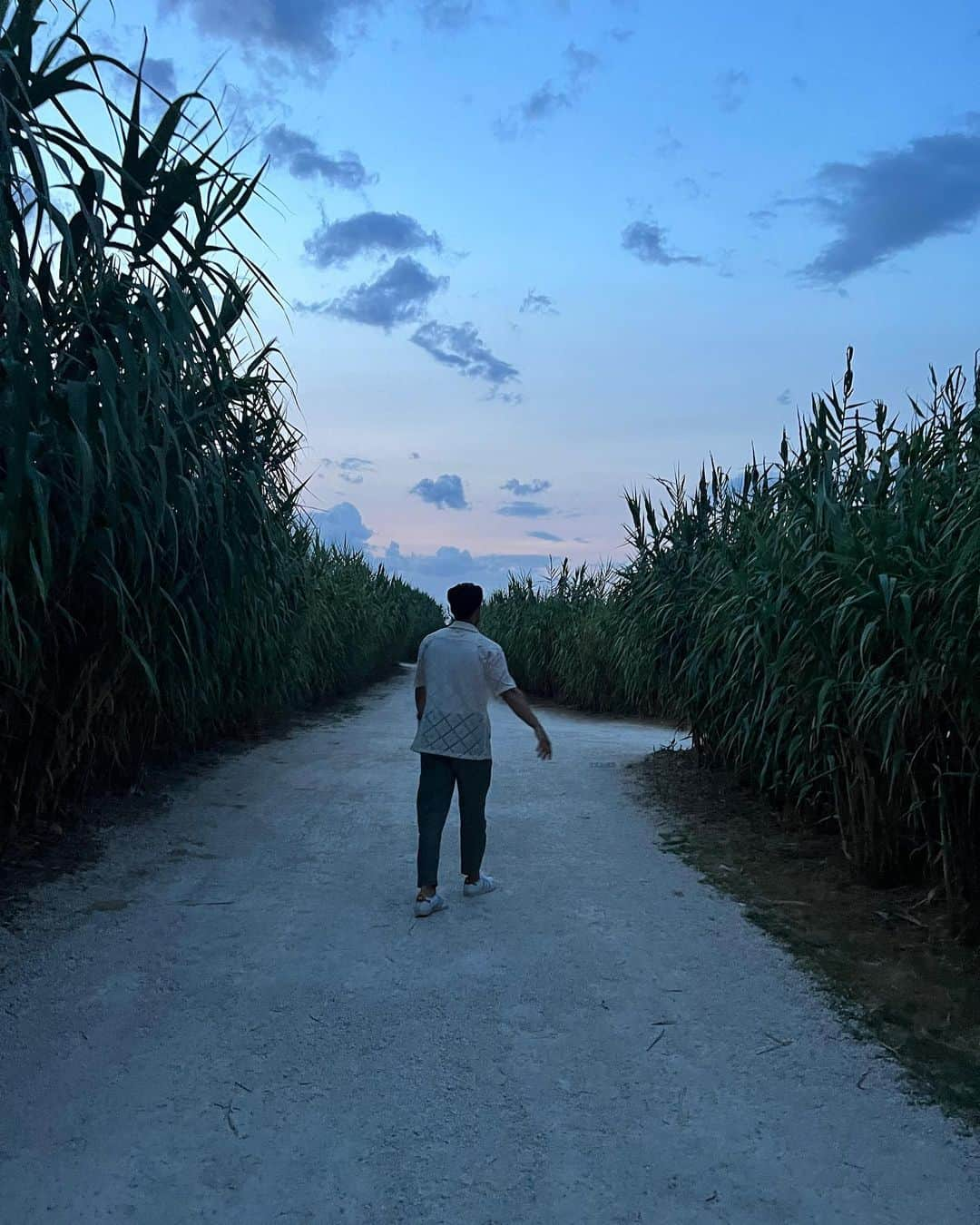 アーロン・トヴェイトさんのインスタグラム写真 - (アーロン・トヴェイトInstagram)「Deep in the middle of little (actual) Italy.」9月8日 23時56分 - aarontveit