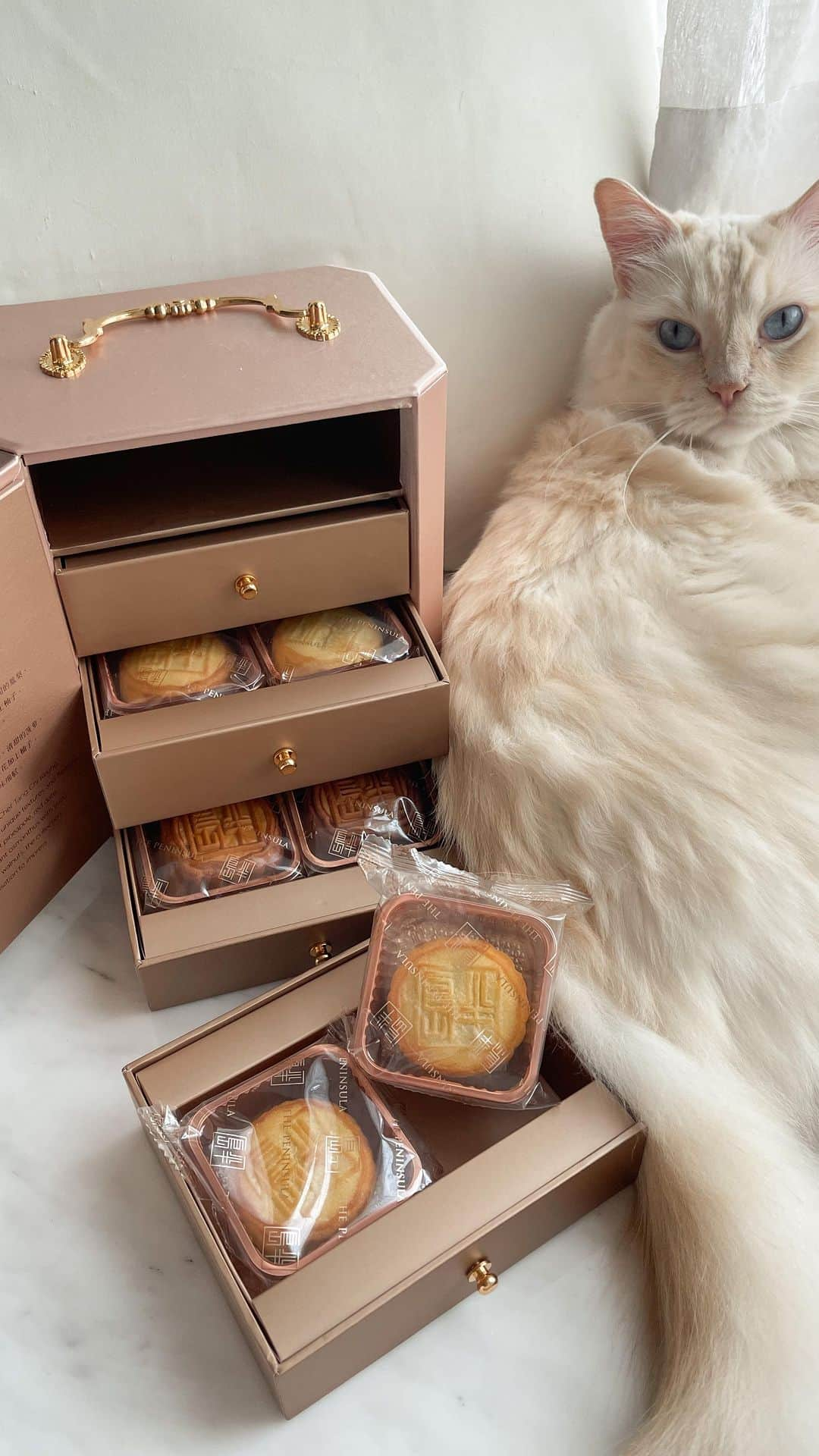 Ruby Kwanのインスタグラム：「Time for some moon cake. 🥮😸 @thepeninsulaboutique   @peninsulahongkong #ThePeninsulaBoutique #MidAutumnFestival #PeninsulaMooncakes #TimeHonouredTradition #HeritageReinvented #rougeclosetlifestyle #hongkong」