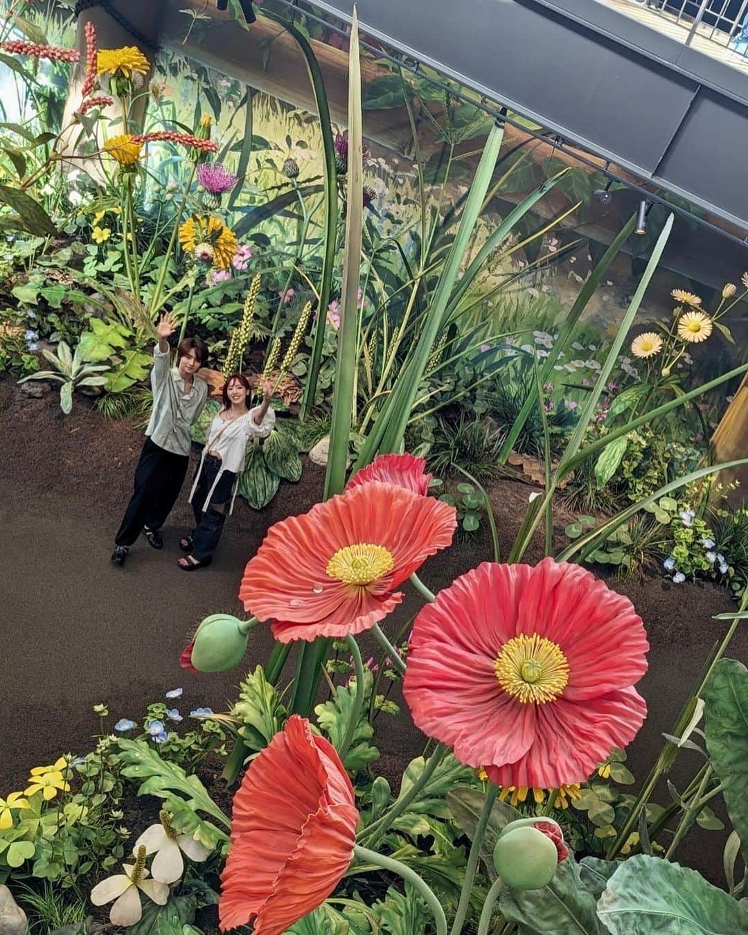 飯窪春菜さんのインスタグラム写真 - (飯窪春菜Instagram)「🌳🌳🌳  念願の！ジブリパーク！！ 名古屋での場当たりの前日に、ジブリ好きの行ける人で行こう〜と企画して行ってきました！ すみちゃん、まいとくんと🥳🔥  終始テンション上がりまくりで楽しめました！！ 時間があまり無かったのと、広かったのでジブリの大倉庫だけ行ったのですが、人も多くて大倉庫内も見切れなかったくらい💨 「借りぐらしのアリエッティ」の世界観を楽しめるエリアがとっても楽しくて、そこだけでも大満足🥹❤️‍🔥❤️‍🔥  公式ホームページにも「ゆっくりきて下さい。」って書いてあるし、また機会があったらちょっとずつちょっとずつ行って制覇したいと思います😌🫶🏻  はあーーーーー🥺楽しかった🥺 またすぐ行きたいっ🔥🔥🔥  #ジブリパーク #ジブリ #隅田美保 さん#藤岡真威人 くん」9月8日 16時19分 - harunaiikubo_official