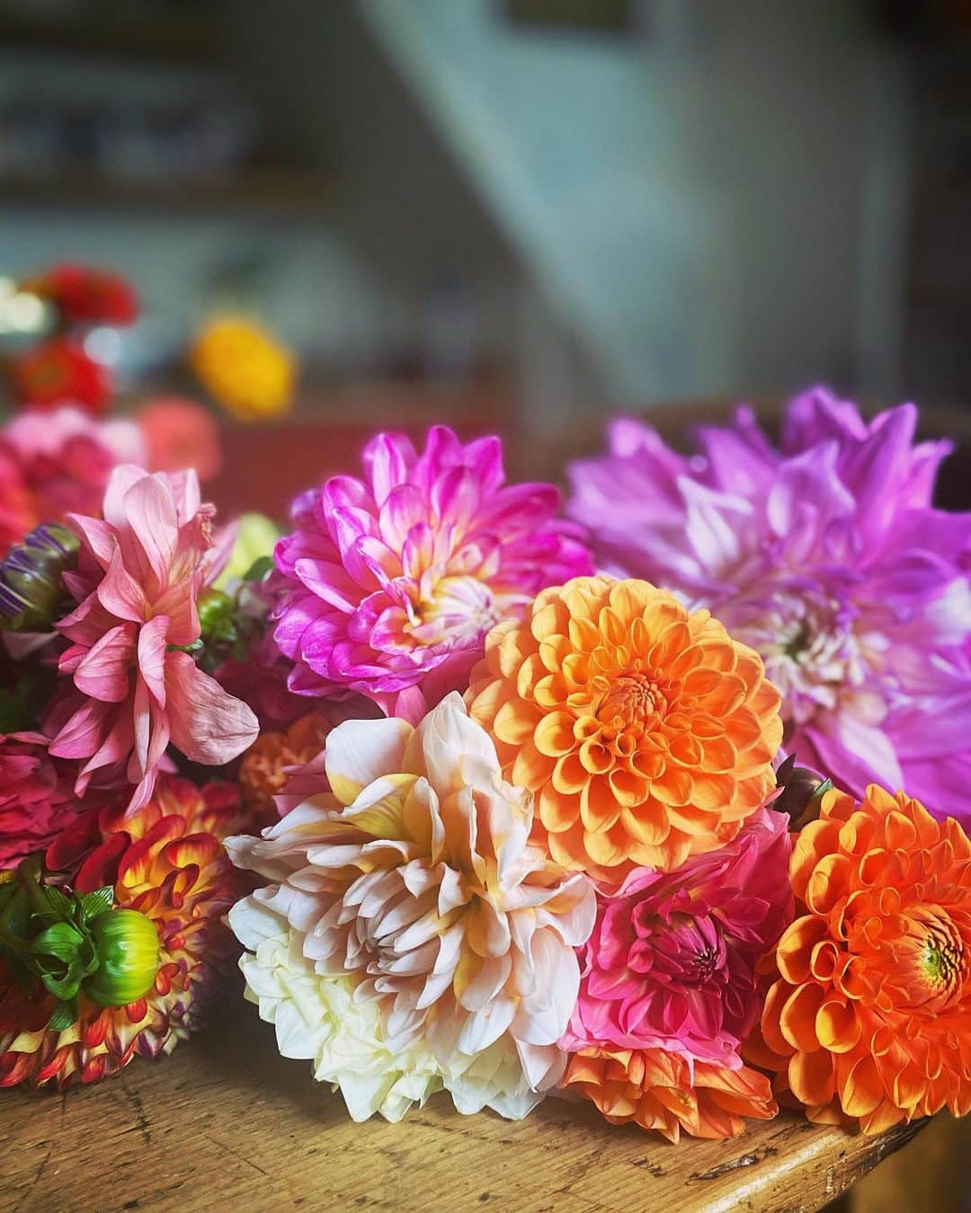 Tea and sittingのインスタグラム：「🌿 There’s nothing quite like a massive bunch of dahlias… 🌸🌼🧡」