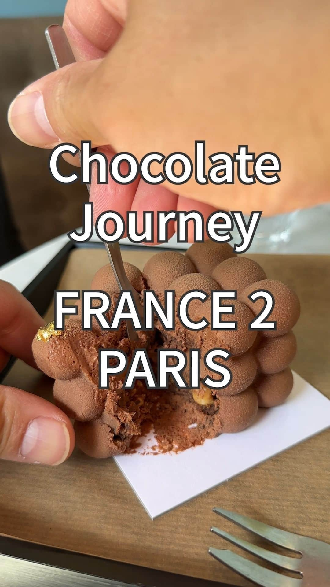 チョコレートカカオのインスタグラム：「Chocolate Journey 4 - France 2/2 チョコレートの旅 4話 - フランス編2 in Paris  Full story 本編はこちら YouTube https://youtu.be/QrCnX7dJ3KI  This is a digest. これはダイジェストです。  We arrived in Paris, France. What kind of chocolate sweets will I encounter in Paris, the city of flowers?  フランスのパリに辿り着きました。 花の都パリでどのようなチョコレートスイーツに出会えるだろうか。  #europe #chocolate #trip #ヨーロッパ #チョコレート #journey #gourmet #france #フランス #auchatbleu #trip #旅 #dalloyau #ダロワイヨ #operacake #chocolatemousse #りんごのムース #kusamayayoi #草間彌生 #凱旋門 #towereiffel #エッフェル塔 #paris #パリ #cake #sacrécoeur #torchettes」