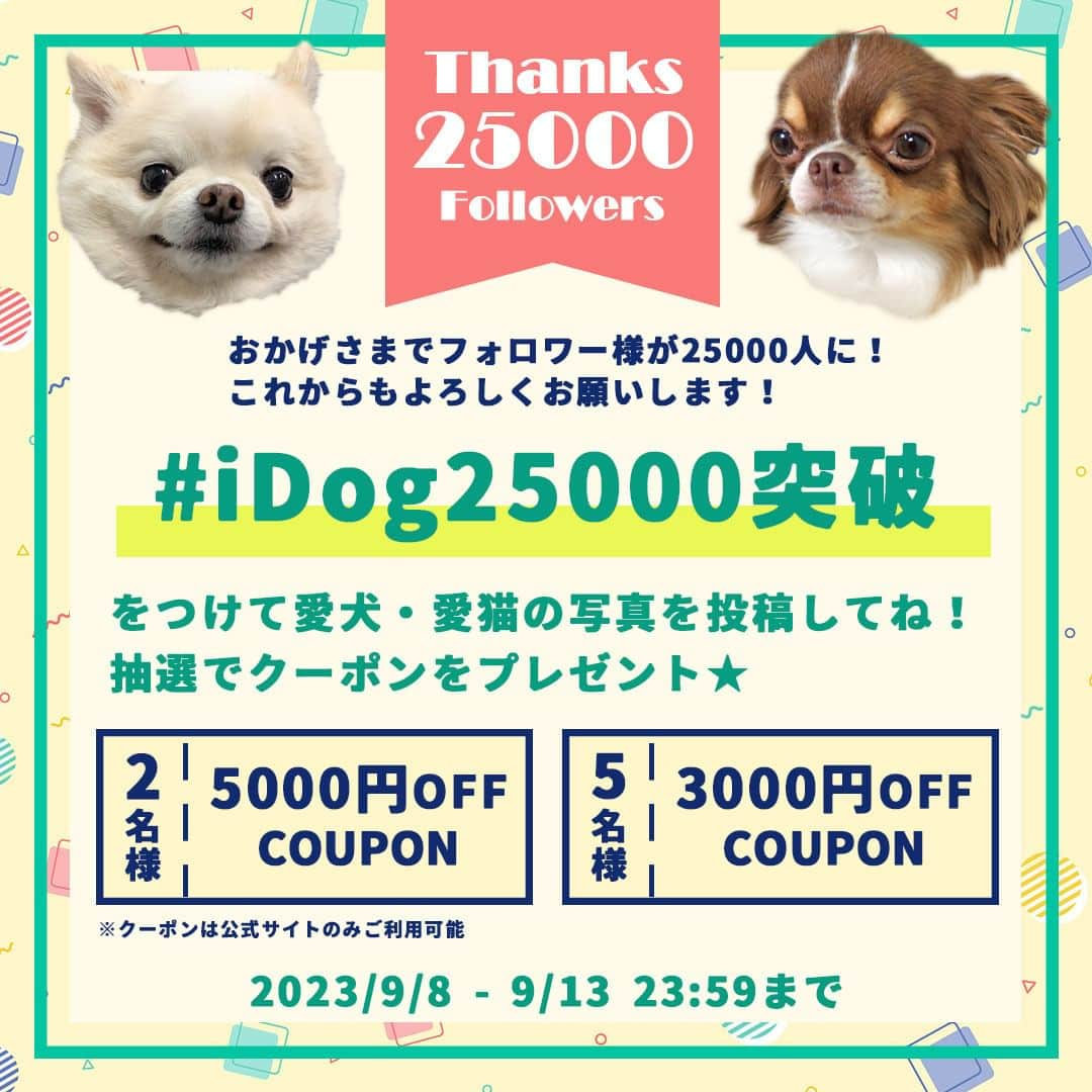 iDog&iCatのインスタグラム