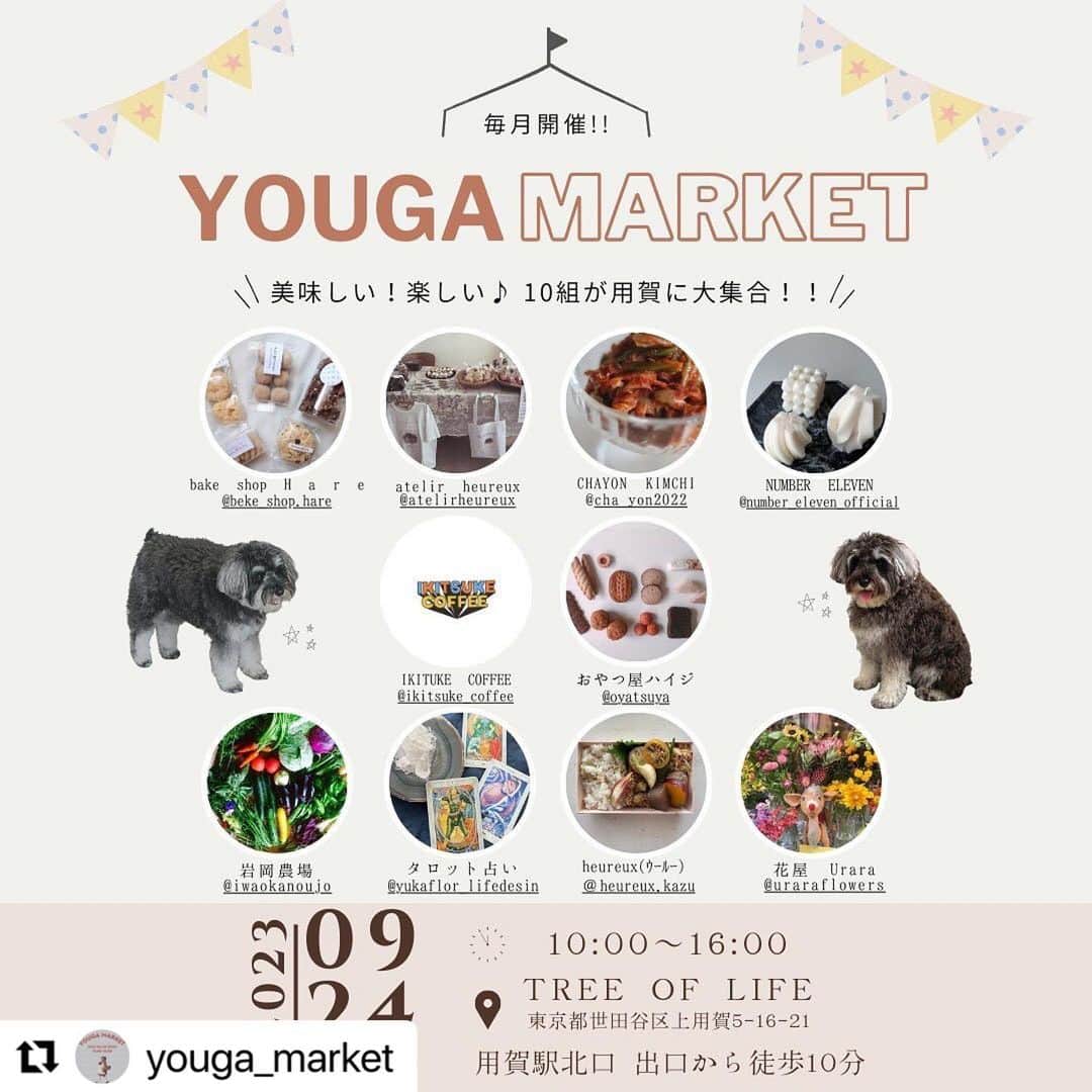 のインスタグラム：「久しぶりにイベントに参加させていただきます！ そわそわわくわく😘  #Repost @youga_market with @use.repost ・・・ 〜heureux  主催〜 YOUGA  MARKET 9/24(日) 10：00〜16：00  場所　TREE OF LIFE  世田谷区上用賀5-16-21 1f グリーンハウス3  都会の片隅にひっそりと佇む 素敵な空間  衣食住　心が惹かれる 何かが集まったマーケット 個性溢れるお店が立ち並びます 素敵な空間と美味しいフードを 囲いながら季節を楽しむ時間  何しようかな〜と 考え中の方は是非お散歩がてら お立ち寄りください。  主催者　heureux  出店者  ⚫︎おやつ屋　ハイジ  焼き菓子 @oyatsuya   ⚫︎bake shop  HARE  焼き菓子 @bake_shop.hare   ⚫︎IKITUKE COFFEE  ドリンク @ikitsuke_coffee   ⚫︎CHAYON KIMCHI  キムチ @cha_yon2022   ⚫︎heureux  bento  お弁当 @heureux.kazu   ⚫︎NUMBER ELEVEN  キャンドル @number_eleven_official   ⚫︎urara flowbrs  お花屋 @uraraflowers   ⚫︎atelier heureux  オリジナルグッズ @atelierheureux   ⚫︎yukaflor lifedesh  タロット占い @yukaflor_lifedesign   ⚫︎岩岡農場　　無農薬野菜販売 @iwaokanoujo   ⚪︎マーケットの詳細は各出店者のインスタグラムをご確認ください。  ⚪︎お会計は各マーケット毎に 　お願いしております  #YOUGAMARKET #用賀ランチおすすめ店」